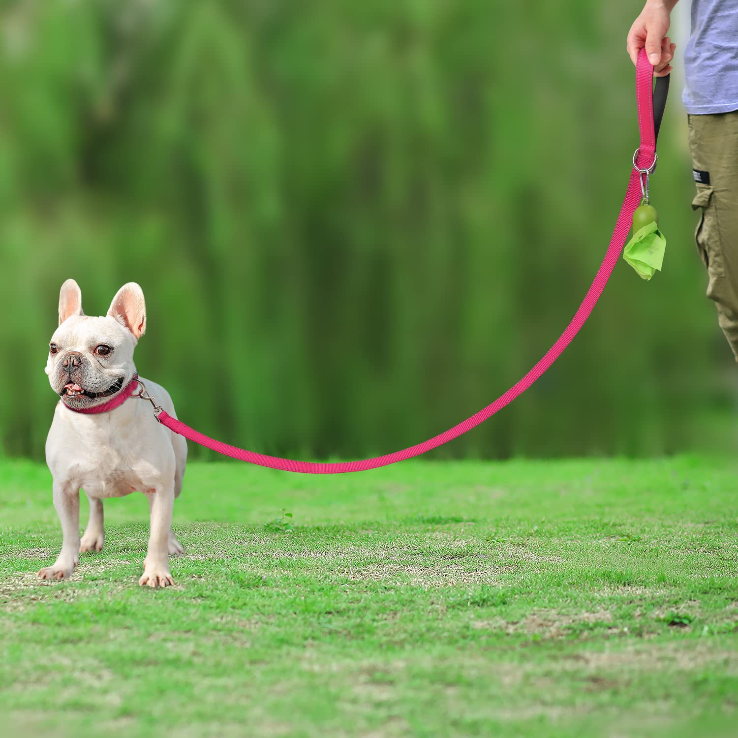 Joytale Double-Sided Reflective Dog Leash, Padded Handle, Nylon, 5 FT, Hotpink