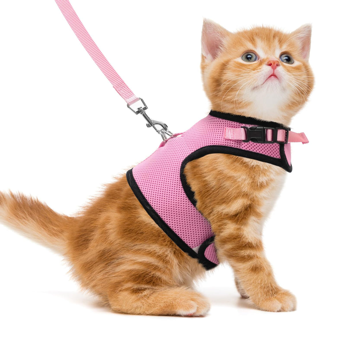 Pupteck Soft Mesh Cat Vest Harness And Leash Set Puppy Padded Pet Harnesses Escape Proof For Cats Small Dogs (Small, Pink)