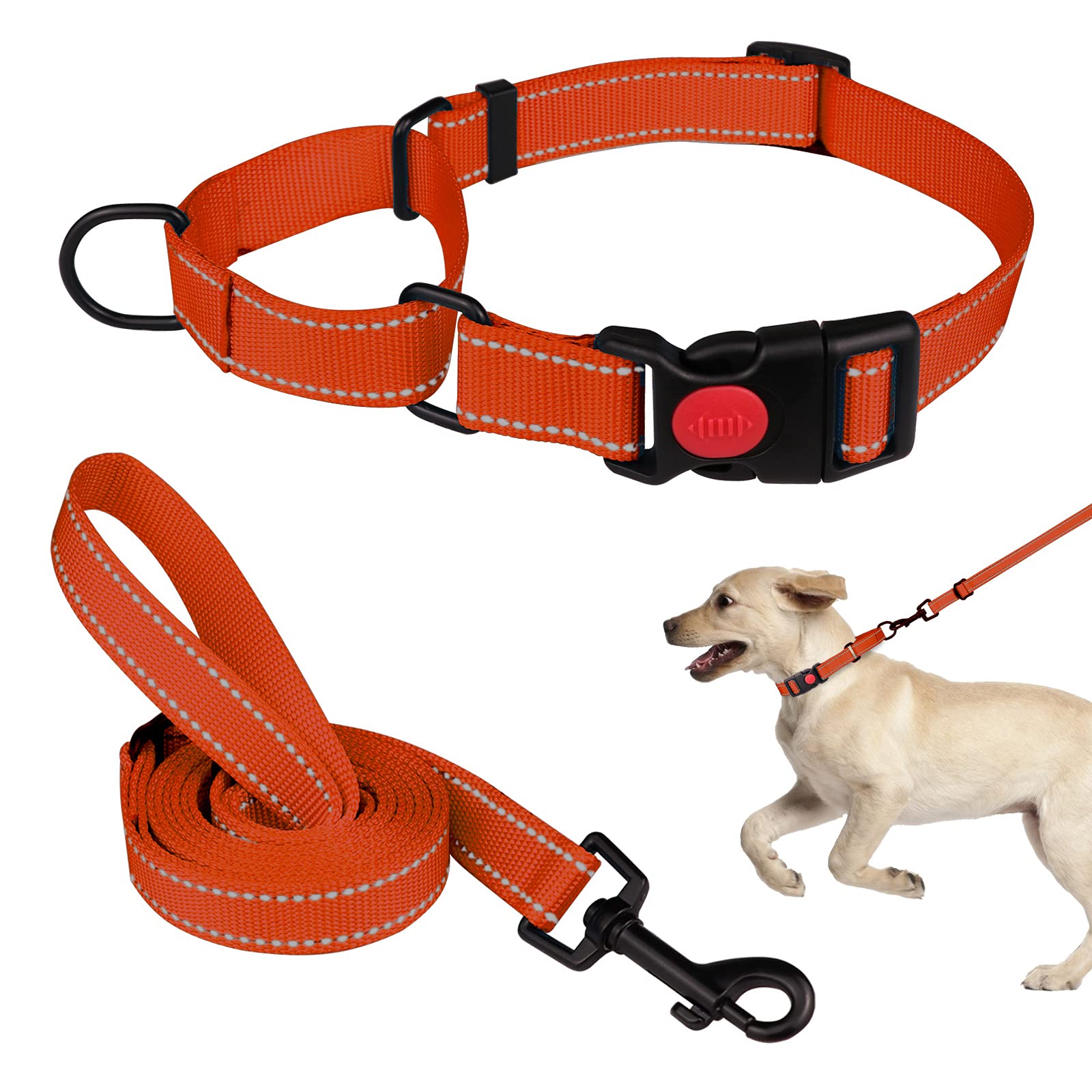 Martingale Dog Collar And Leash Set Martingale Collars For Dogs Reflective Martingale Collar For Small Medium Large Dogs(Orange&