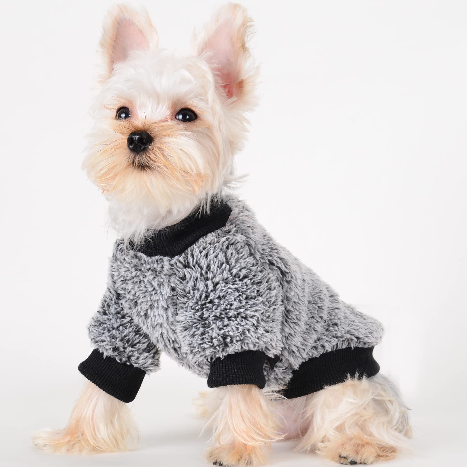 Yiikeyo Winter Dog Clothes For Small Dogs Boy Girl Yorkie Chihuahua Warm Flannel Sweater Cute Funny Pet Puppy Clothing Cat Doggie Coat Xs S M L (Medium, Black)