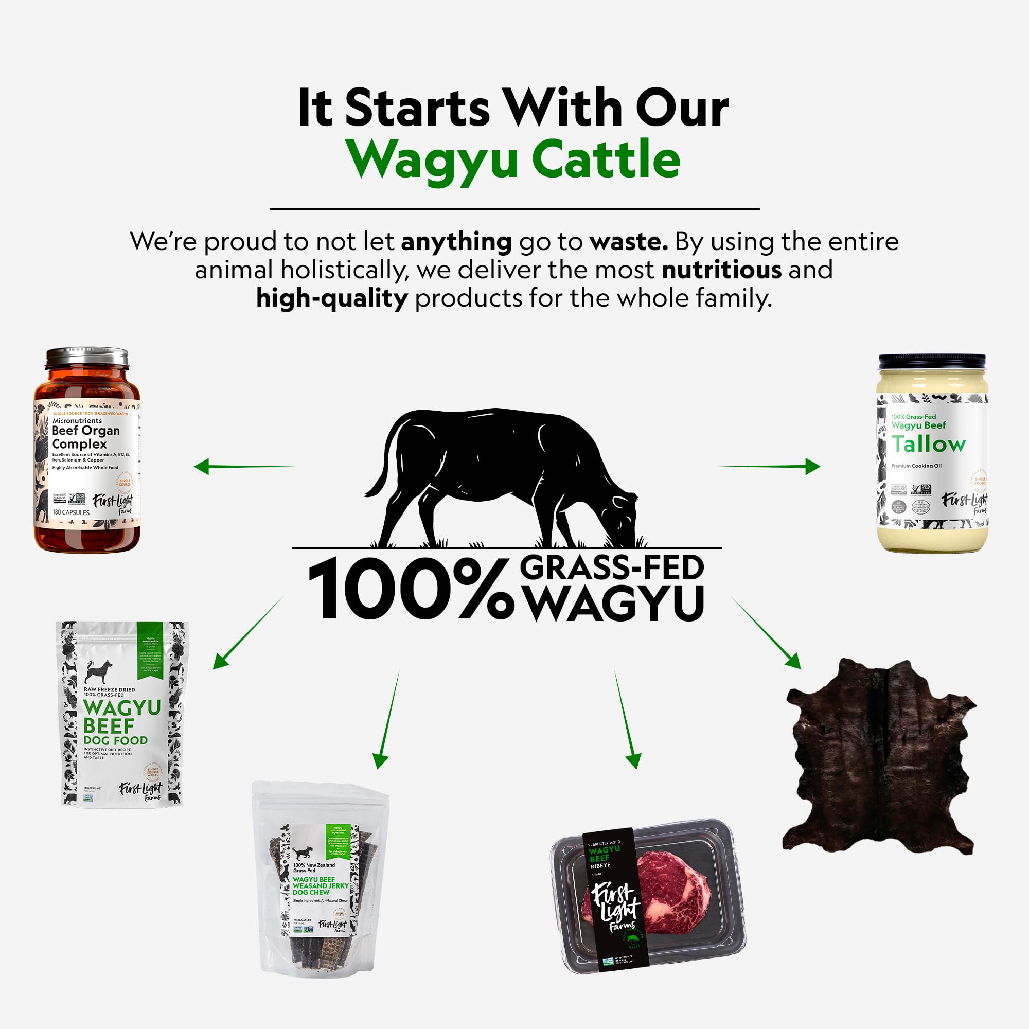 First Light Freeze-Dried Wagyu Beef Liver Dog Treats, 4 oz - 100% Grass-Fed, Single Ingredient, Nutrient-Dense Superfood for All Breeds
