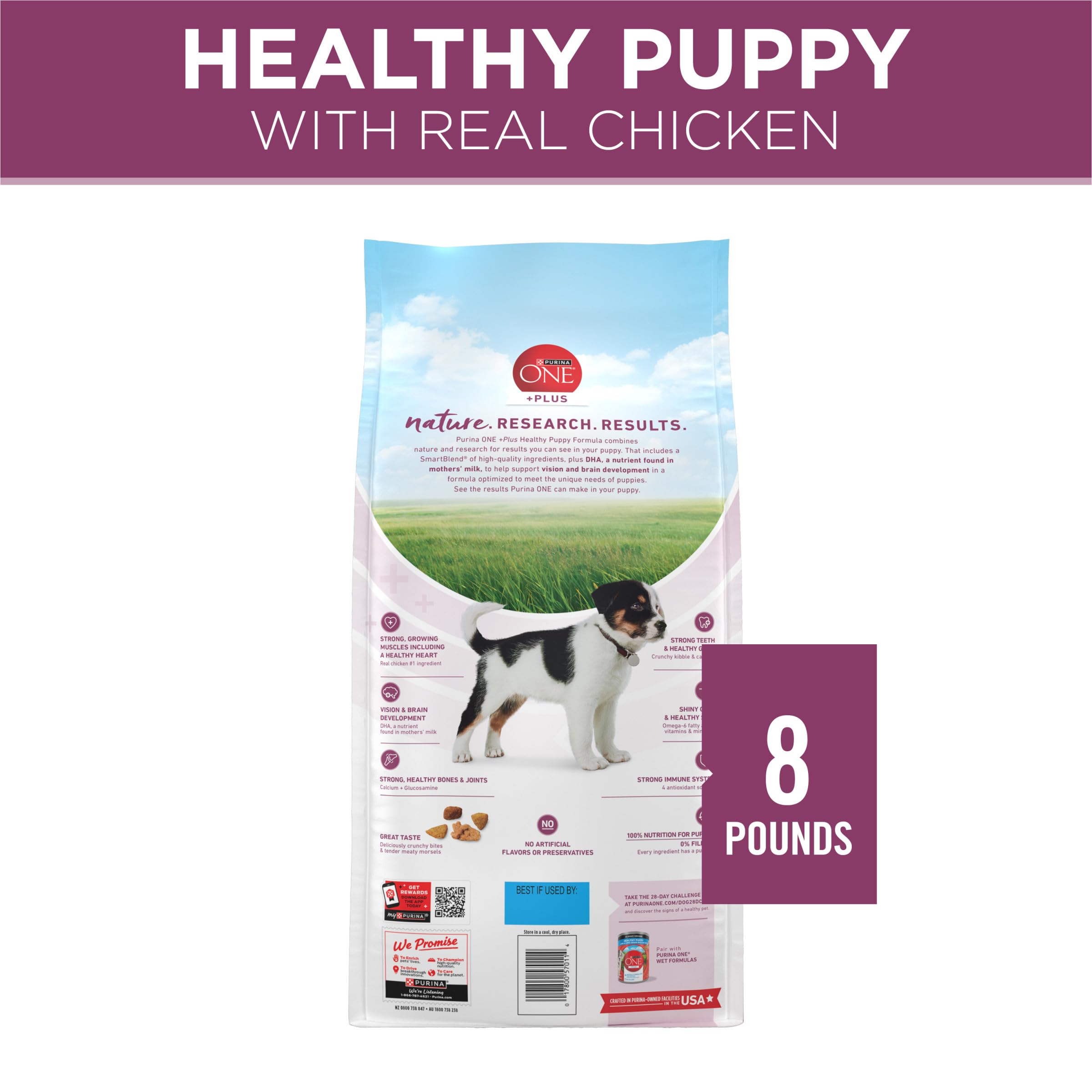 Purina ONE Plus Healthy Puppy Formula High Protein Natural Dry Puppy Food with added vitamins, minerals and nutrients - 8 lb. Ba