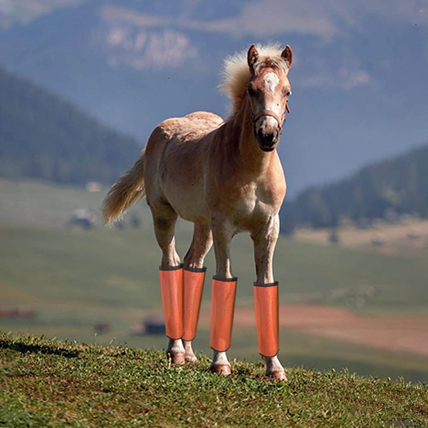 Nizhome 8 Pack Horse Fly Boots, Horse Leggings Set Of 8, Breathable Mesh Fitting Boots For Horses, Horses Leggins Horse Supplies