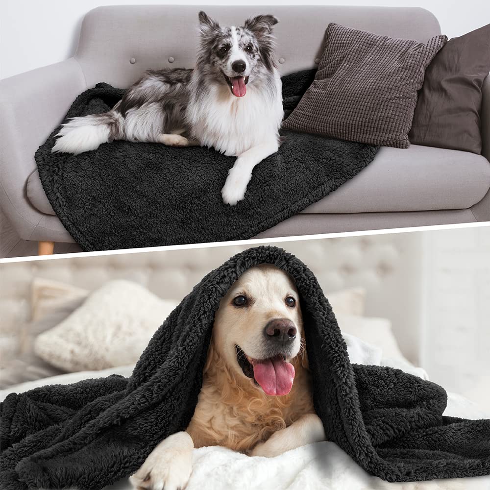 Petami Fluffy Waterproof Dog Blanket For Medium Large Dogs, Soft Warm Pet Sherpa Throw Pee Proof Couch Cover, Reversible Cat Bed Blanket Sofa Protector, Plush Washable Pad (Black, 40X60)