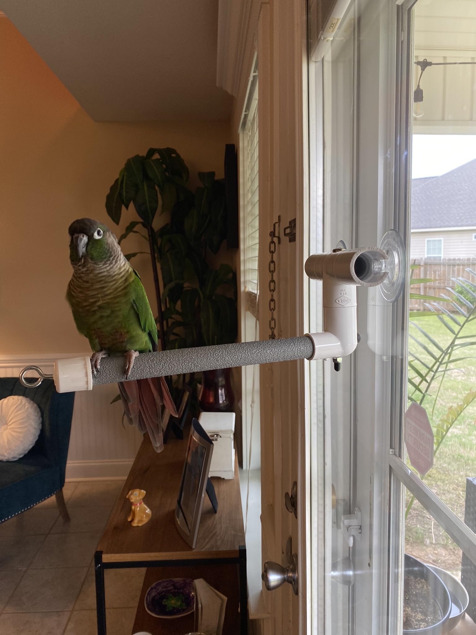 Polly'S Deluxe Window And Shower Bird Perch, Small