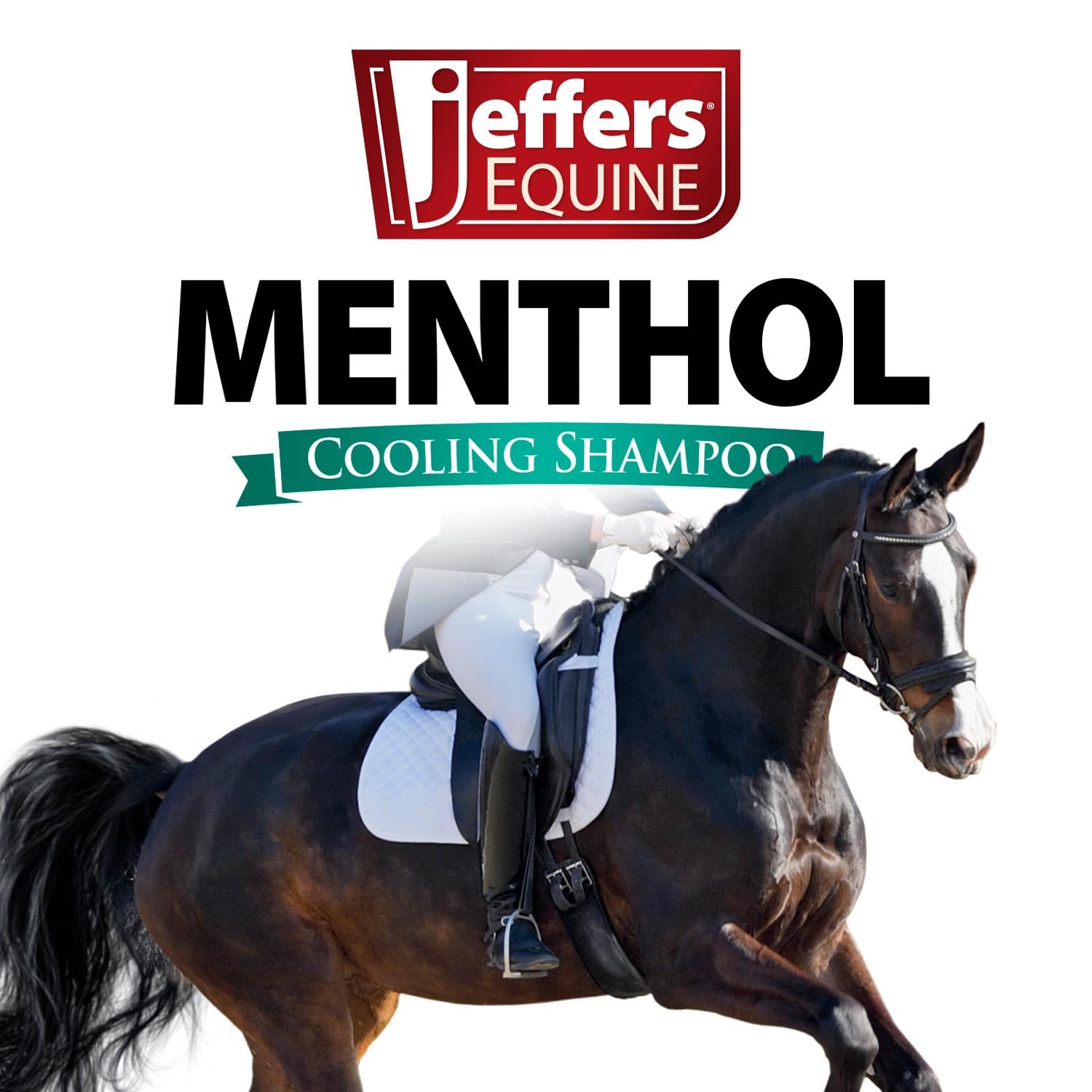 Jeffers Equine Menthol Cooling Horse Shampoo 16 oz - 100% Pure Australian Menthol, Coconut Oil, Aloe & Vitamin E - Moisturizing,