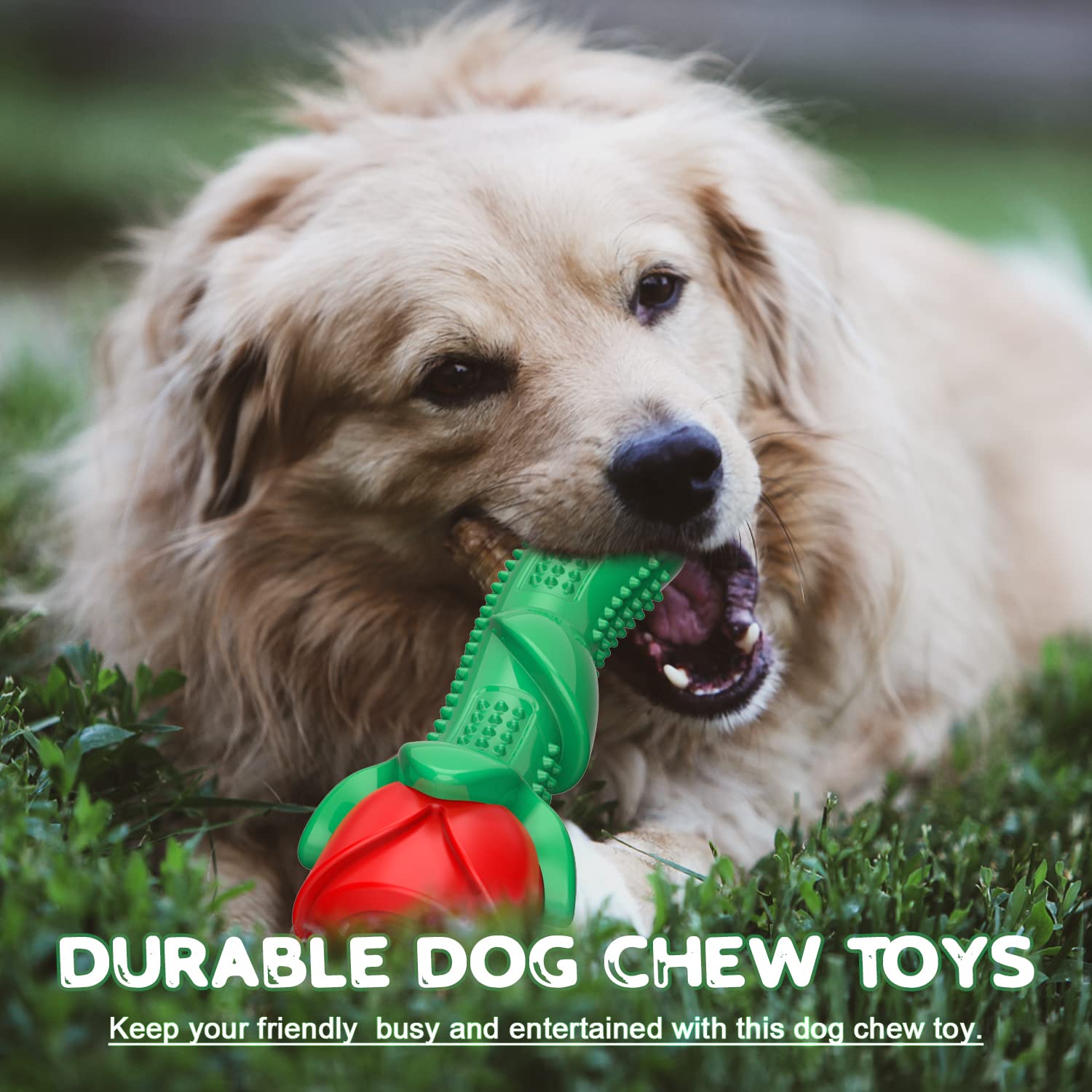 Ucho Dog Toys For Training Chew Play, Rose Fetching Dog Pool Toys, Floats Water Toy, And Interactive Pet Chew For Aggressive Che