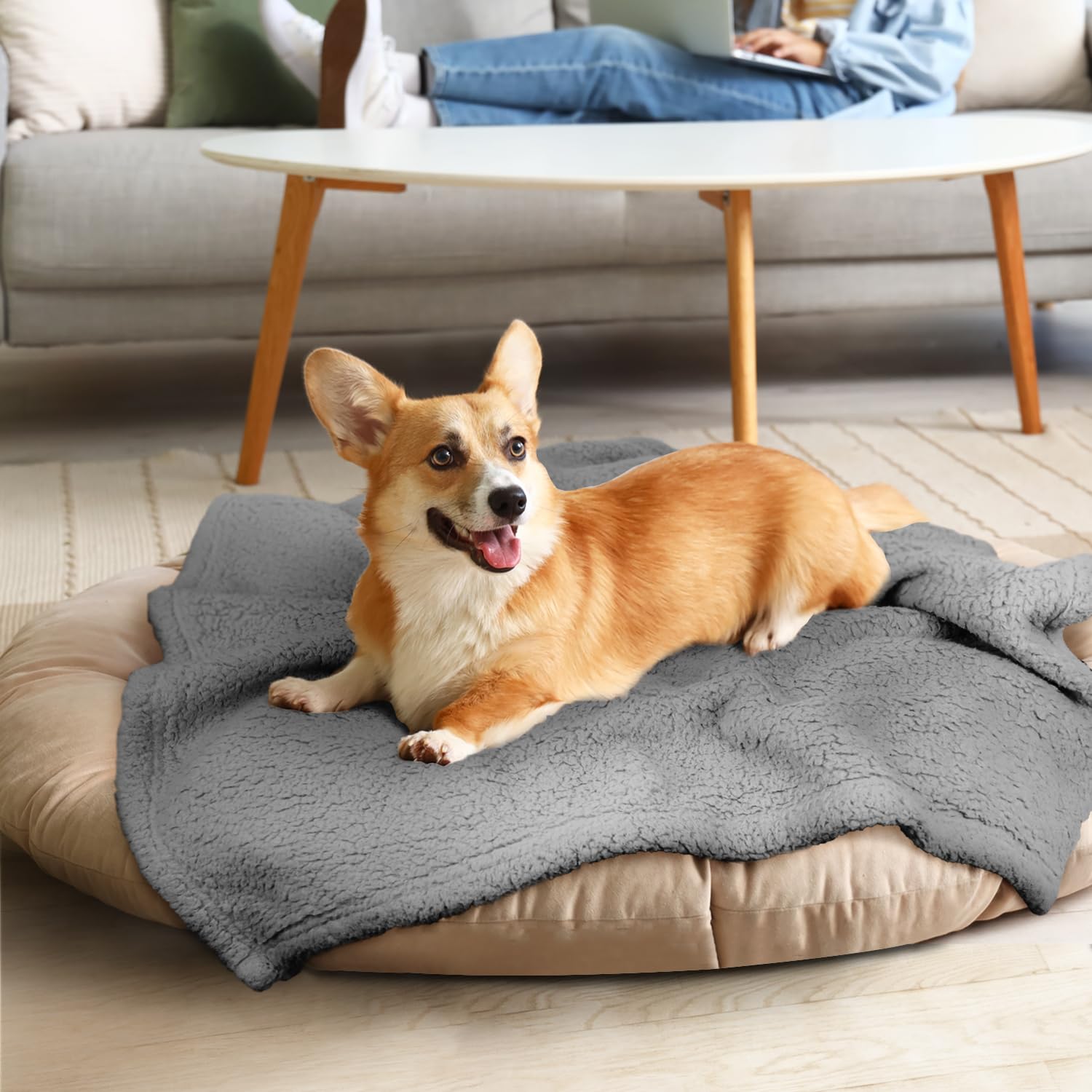 Furrybaby Dog Blanket Soft Dog Blankets For Large Dogs Puppy Essentials Washable Sherpa Fleece Cat Blanket 32X40 Inches For Bed