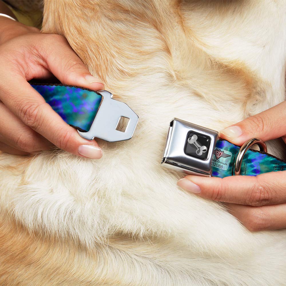Buckle-Down Dog Collar Seatbelt Buckle Tie Dye Green Blue Purple, Multicolor, 1' Wide - Fits 9-15' Neck - Small (Dc-W32088-S)