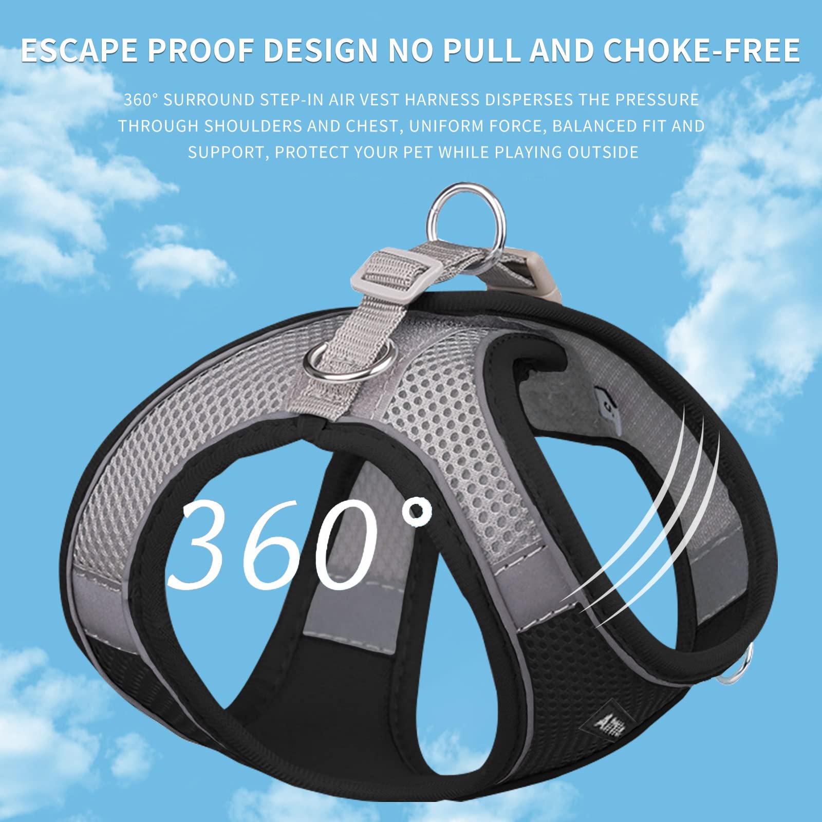 Aiitle Easy Walk Dog Harness And Leash Set - Pet Supply No Pull, Step In Adjustable Dog Harness With Padded Vest For Spring, Dog