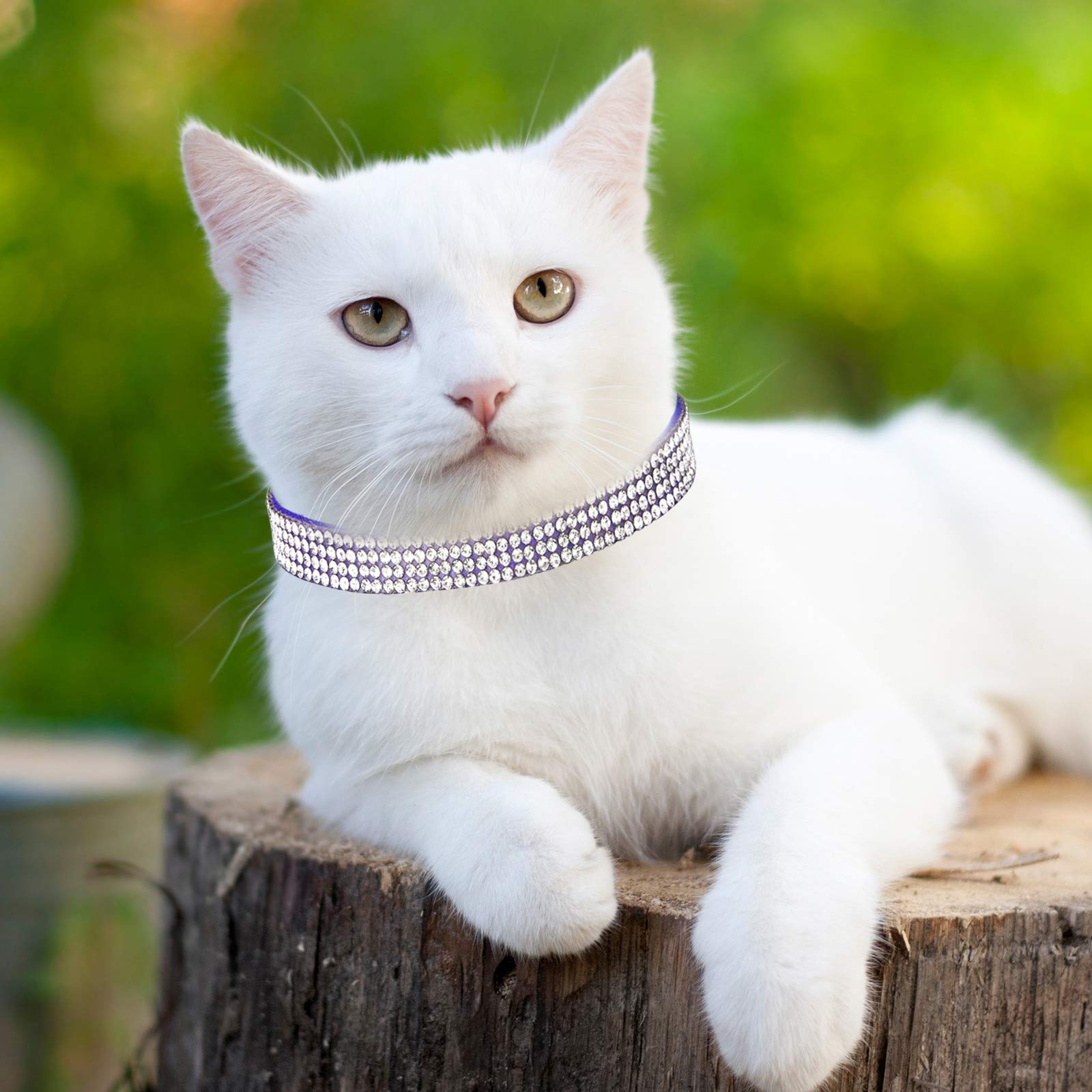 Weewooday 4 Pieces Rhinestones Cat Collars Breakaway Cat Collar With Bell Bling Pet Accessories With Soft Velvet, 4 Colors(S,Pin