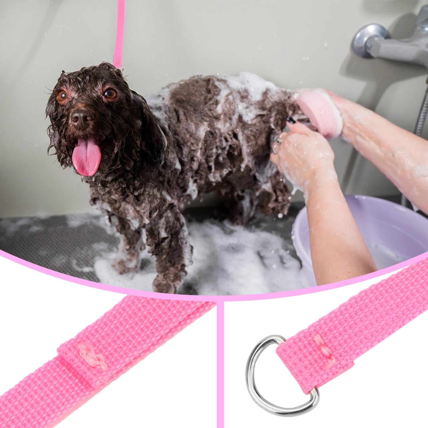 Hypeety 6 Pcs Bulk Pack Slip Leads Dog Pet Grooming Kennel Small Animal Control Shelter Lead Leash