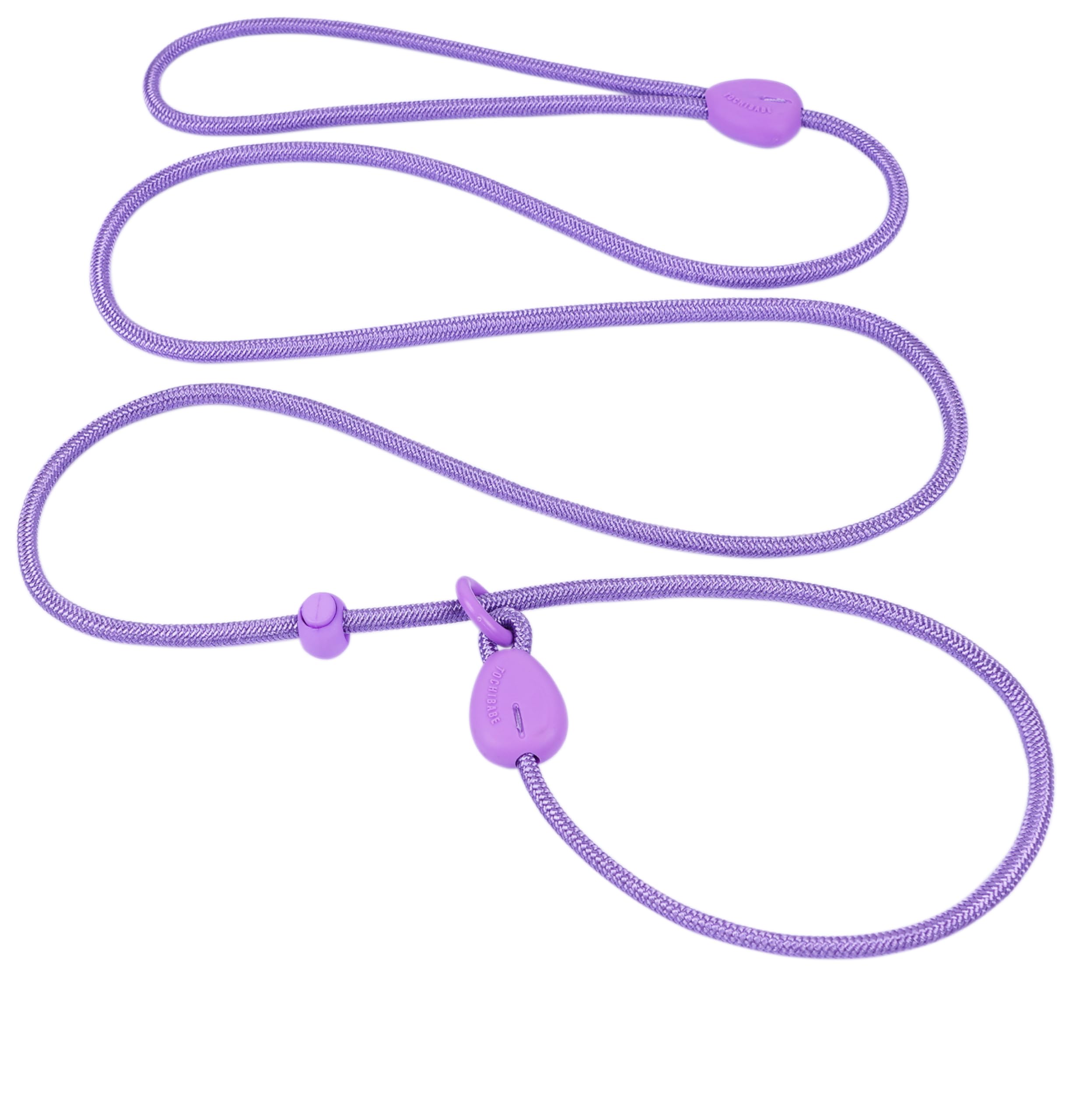 Slip Lead 6FT Slip Leash for Dogs No Pull Dog Training Leash Lightweight Dog Slip Lead 1/4 Slip Lead Dog Leash Dog Leash for Sma