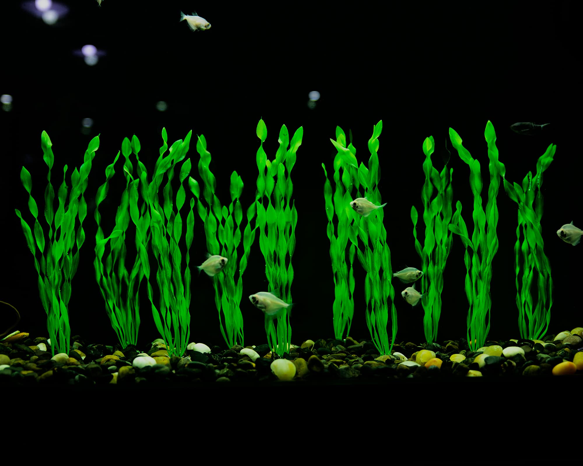 Mylifeunit Artificial Seaweed Water Plants For Aquarium, Plastic Fish Tank Plant Decorations 10 Pcs (Green)