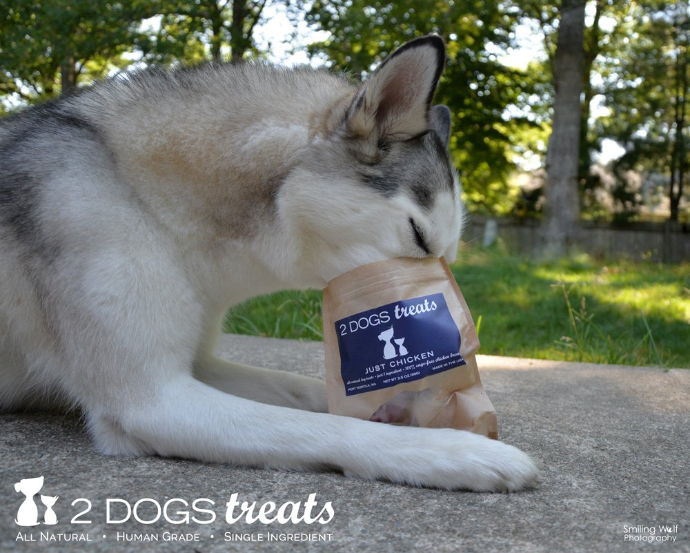 2 Dogs Treats Chicken Jerky - 100% USA-Sourced, Grain-Free, 7 oz, Single-Ingredient, Great for Sensitive Stomachs, High Value for Training
