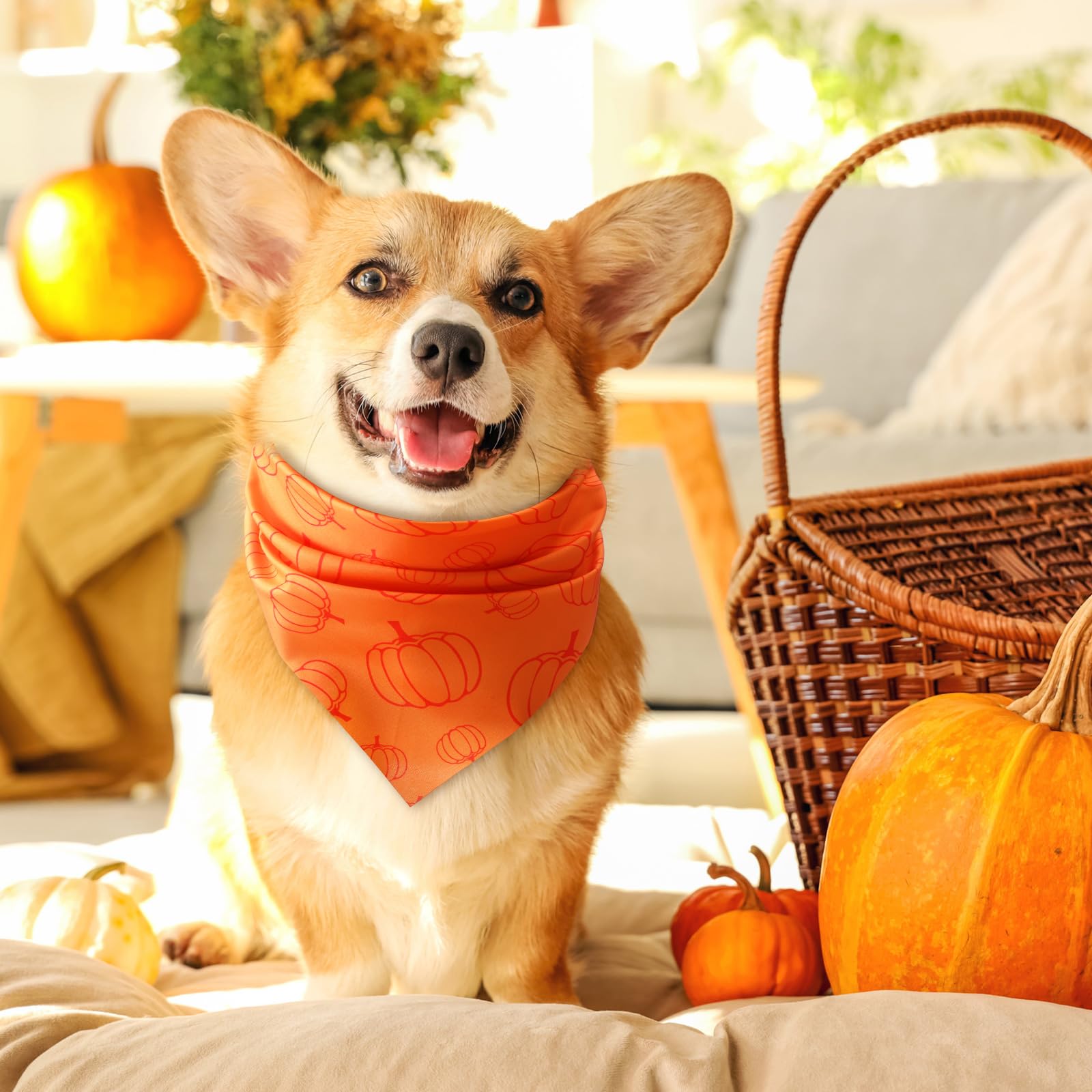 Chunful 100 Pieces Fall Dog Bandanas Bulk Autumn Pet Bandanas with Pumpkin Patterns Triangle Scarf Bib Kerchief Set for Small La