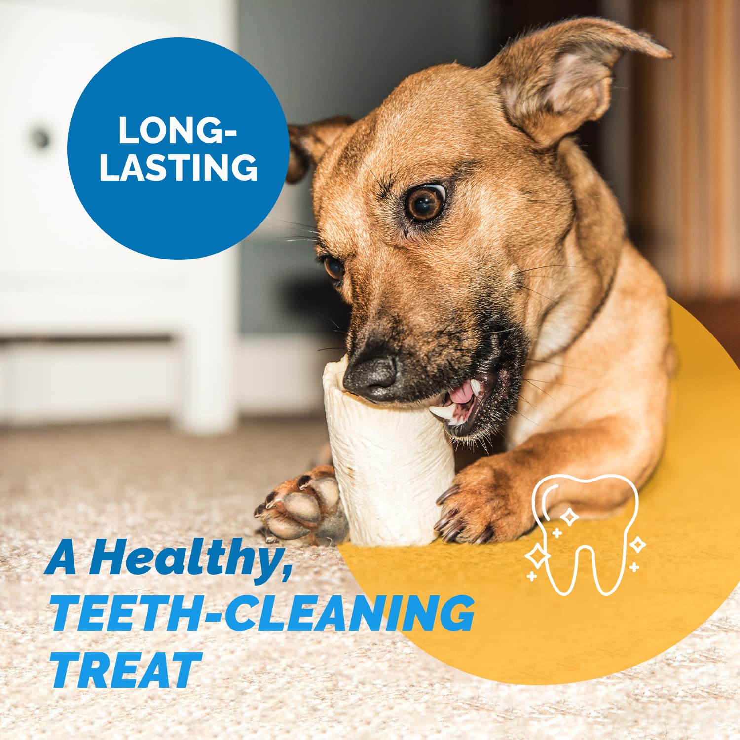 123 Treats, Filled Dog Bones, Peanut Butter Bones for Dogs (3 to 4 Beef Bones - 10 Count) Stuffed Shin Bones, Long Lasting Chews