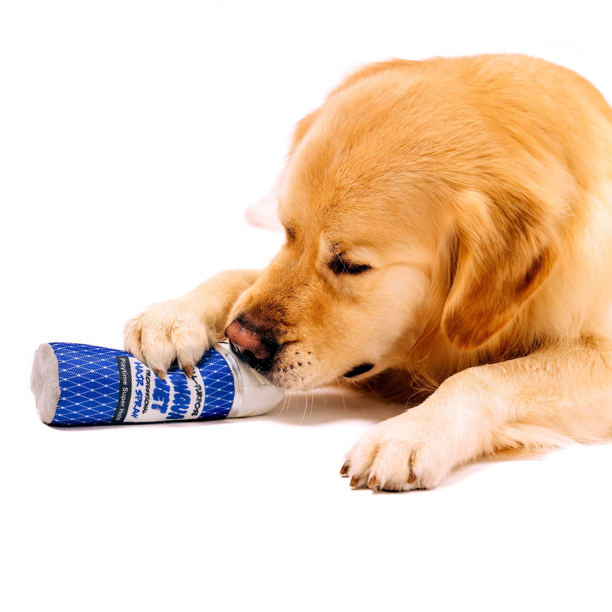 P.L.A.Y. Cute Plush Dog Toys - 1980S Classics Themed Durable Squeaker Giggle Stick Chew Toy, Great For Puppies & Small, Medium,