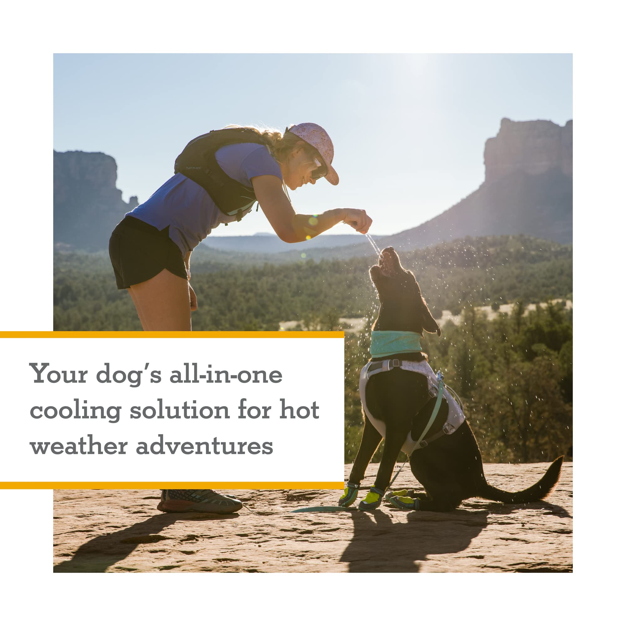 Ruffwear, Swamp Cooler Dog Harness, Lightweight With Evaporative Cooling For Hot Weather, Heliotrope Purple, Medium