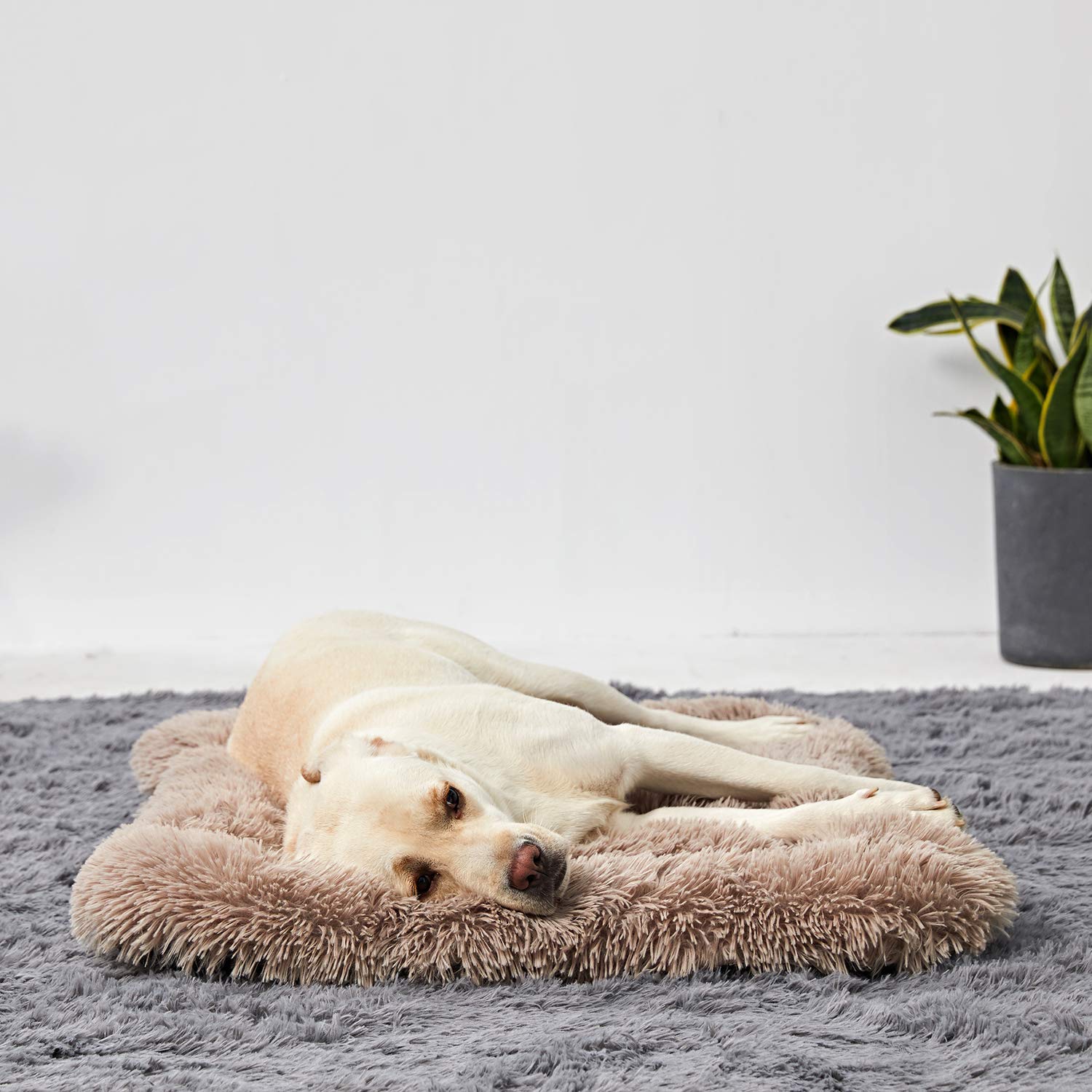 Dog Bed Large Size Dogs, Washable Dog Crate Bed Cushion, Dog Crate Pad Large Dogs 36 Inch