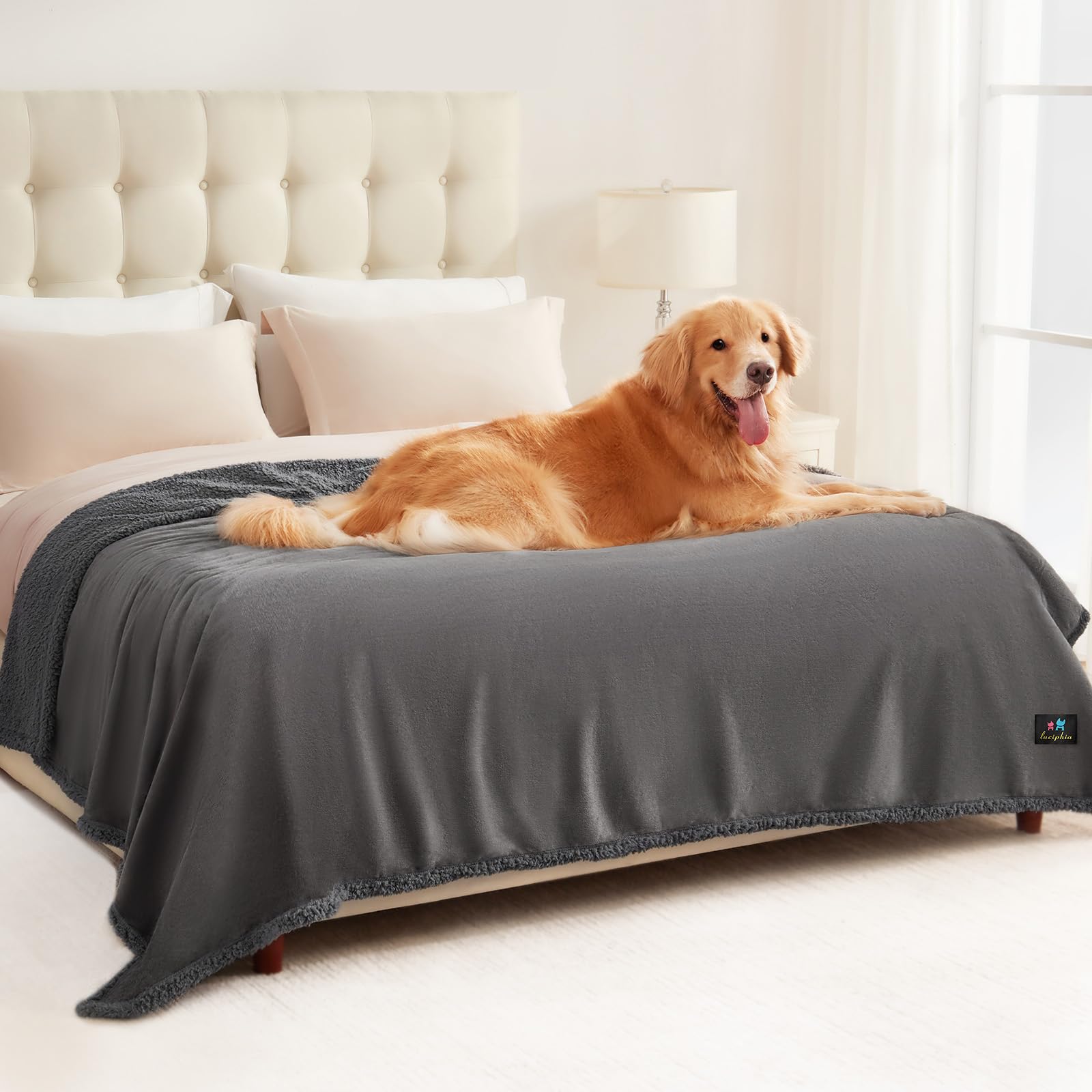 Luciphia Waterproof Blanket For Large Dogs Liquid Proof Furniture Protector Washable Pet Reversible Bed Cover For Couch Soft She