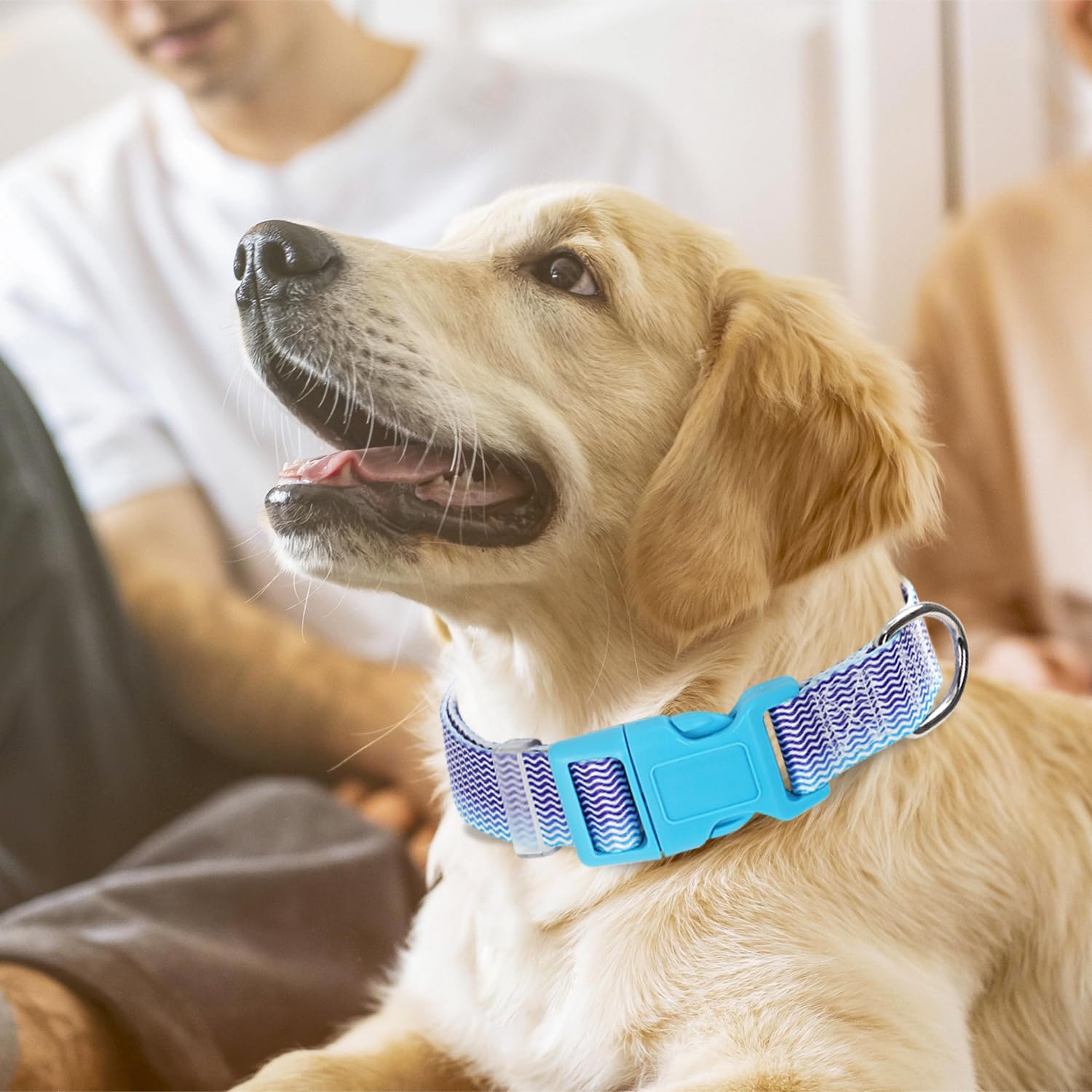 Boy Dog Collar For Puppy Small Dogs, Cute Blue Dog Collar With Waves Patterns, Adjustable Heavy Duty Nylon Collar With Quick-Rel