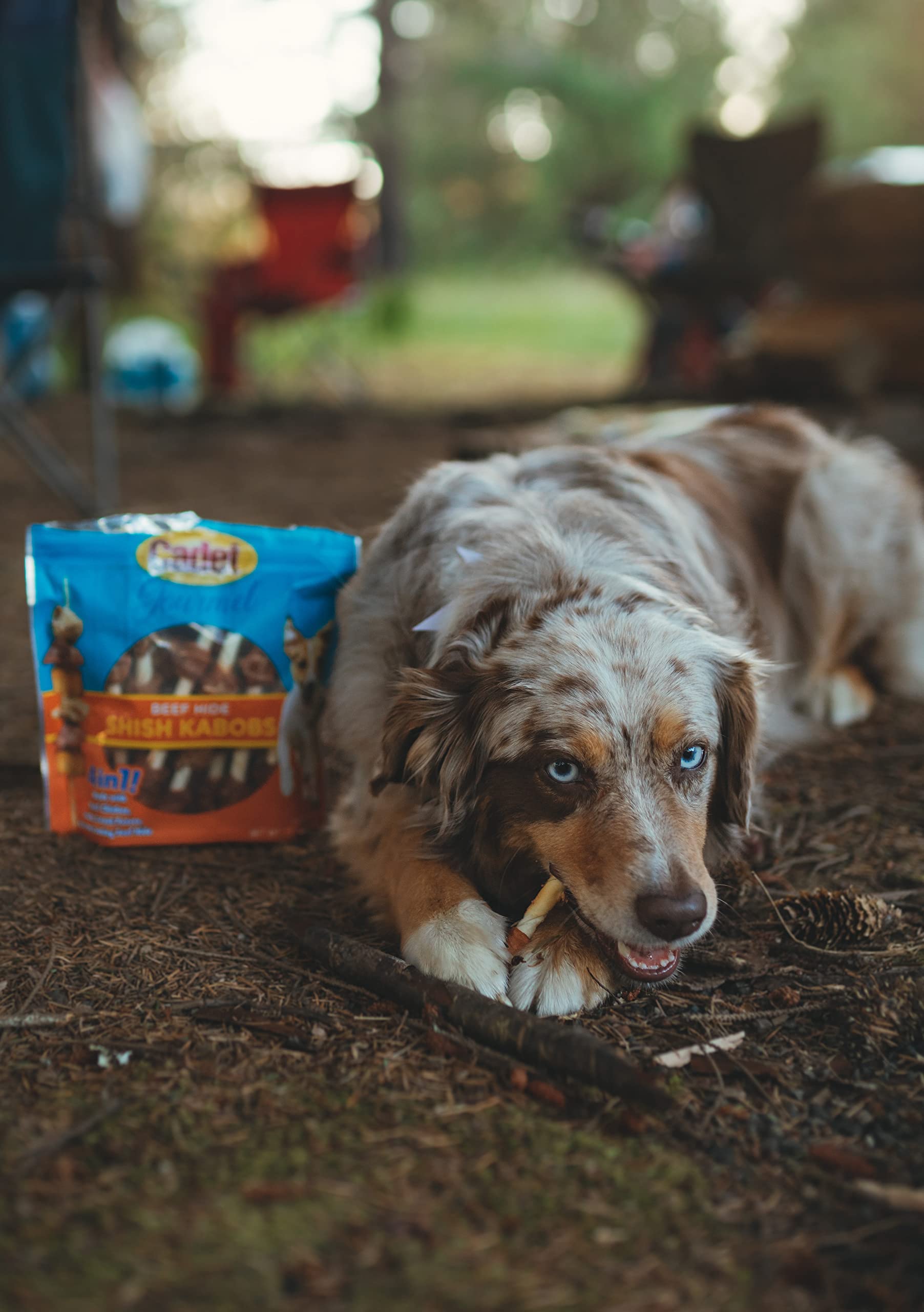 Cadet Gourmet Shish Kabob Dog Treats for Small Dogs, Healthy & Natural Chicken, Duck, & Sweet Potato Chew Sticks, Beef Hide, Sma