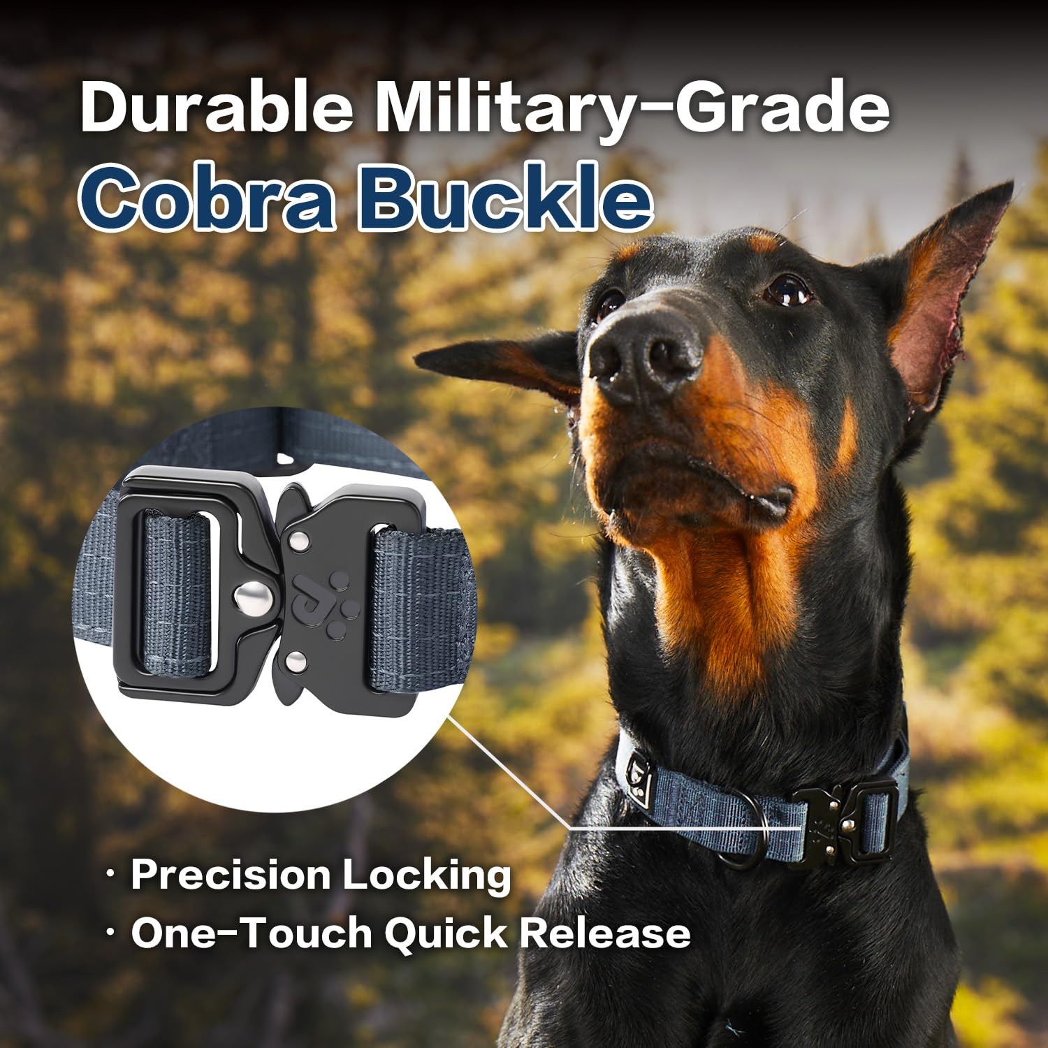 Pawspassion Heavy Duty Dog Collar For X-Large Dogs, Chew Proof Metal Hardware, Reinforced Nylon Dog Collar With Metal Quick-Rele