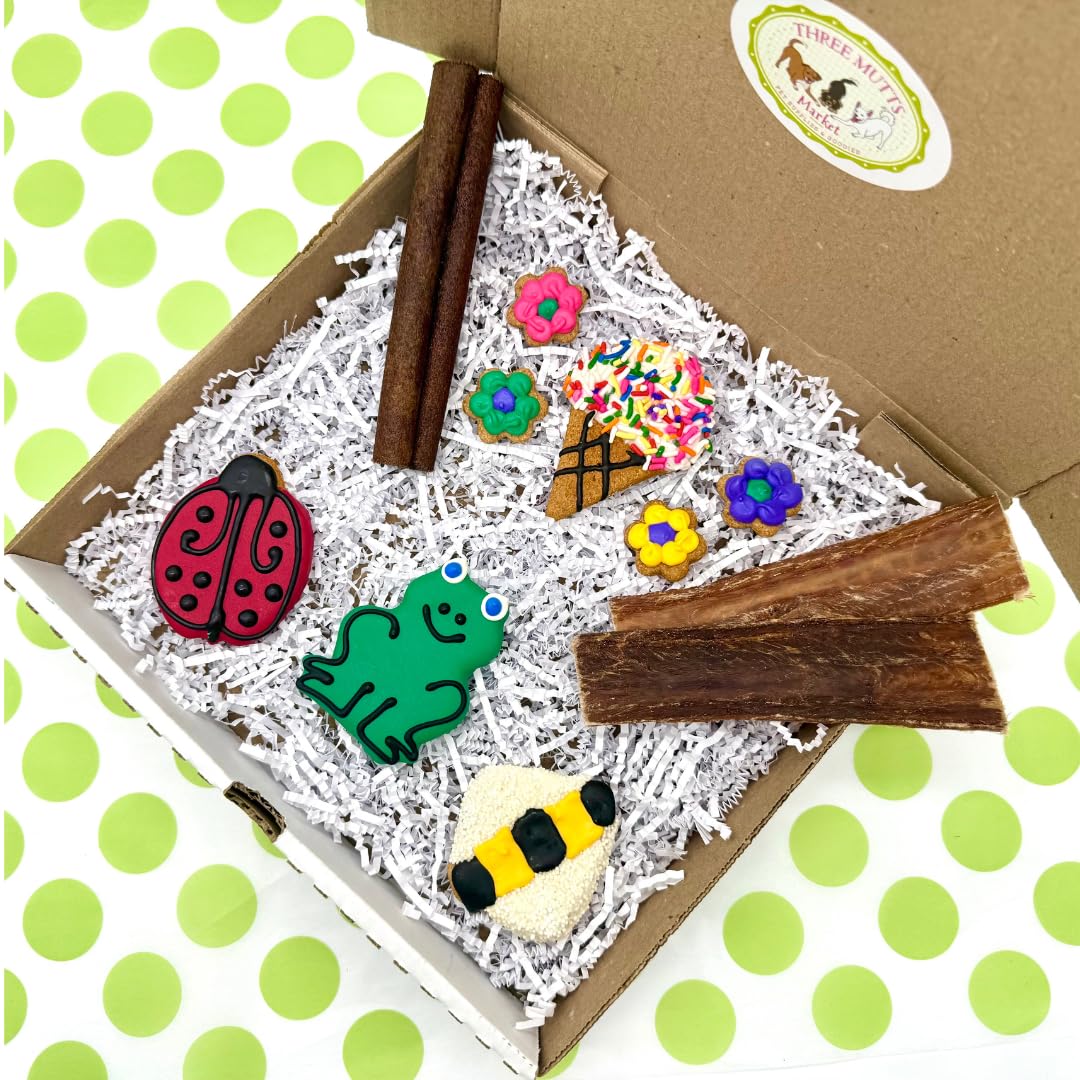 Three Mutts Market Dog Treat Gift Box | Human Grade, Handmade, and Decorated Dog Cookies | Gifts for Medium & Large Dogs | No Ar