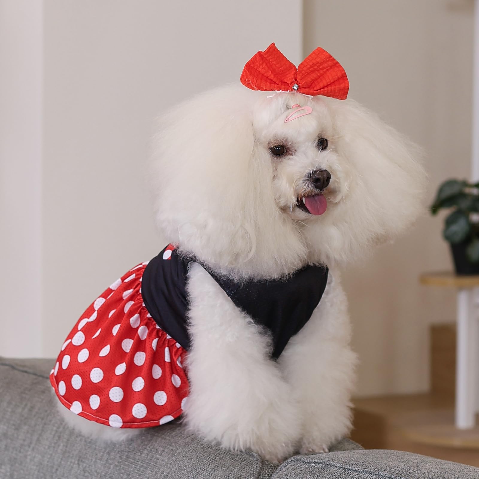 Cutebone Dog Mesh Dress Puppy Sundress Pet Outfit Summer Fashion For Small Dogs Girl Cat Clothes Bf33S-D