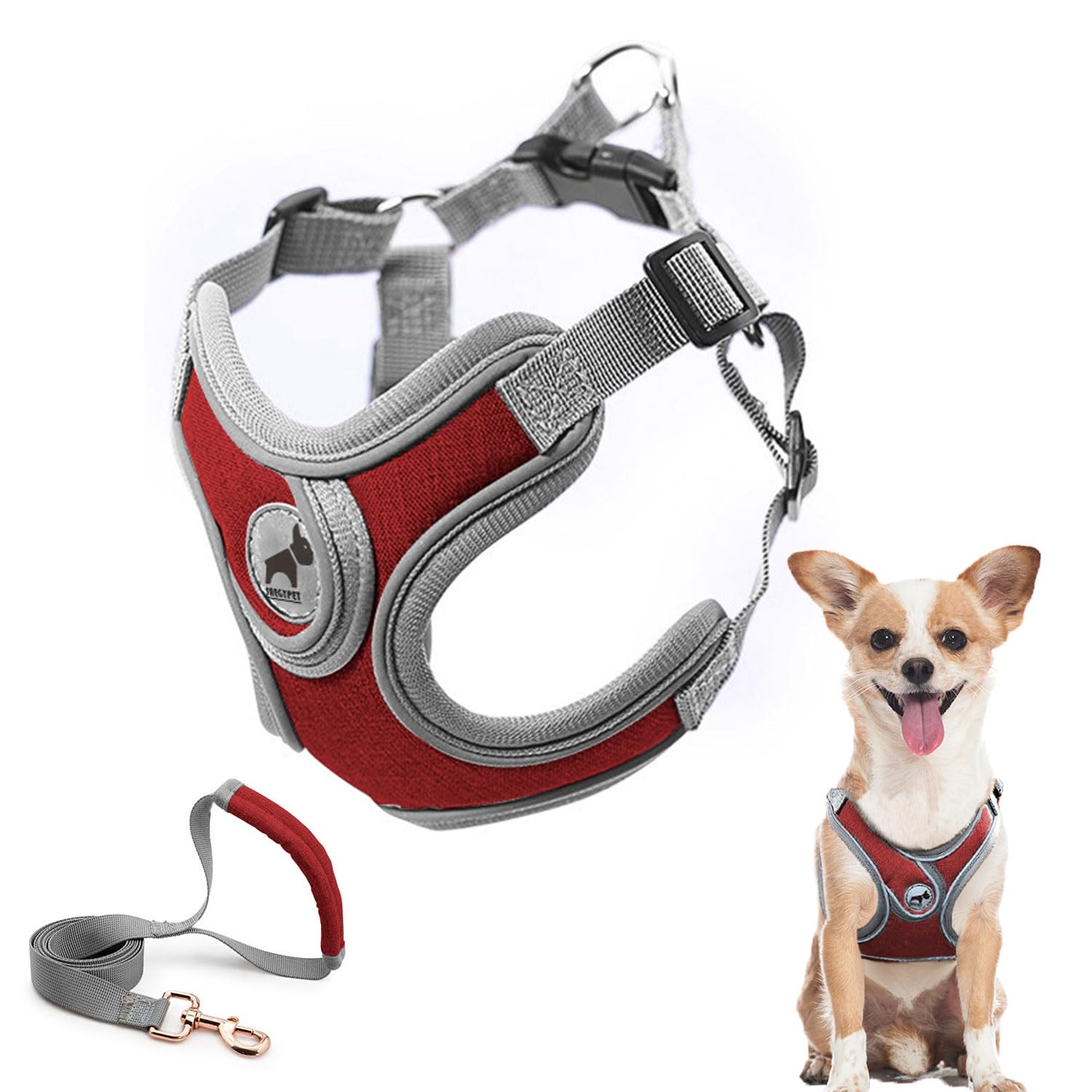 Dog Harness with Leash Set, Adjustable Step in with Breathable Padded Puppy Harness for Walking Escape Proof Small Dogs (XS, Red