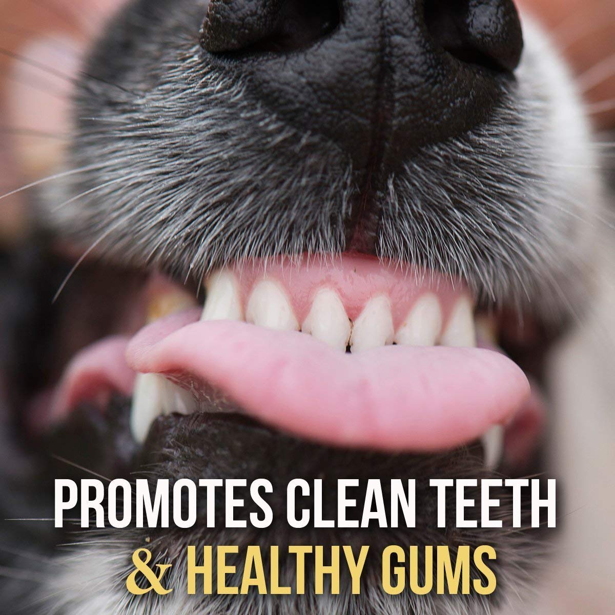 Bullysticks Organic Standard 6 Bully Sticks for Dogs - All Natural Dog Treat, These Chews are Free Range Bully Sticks, USDA Appr