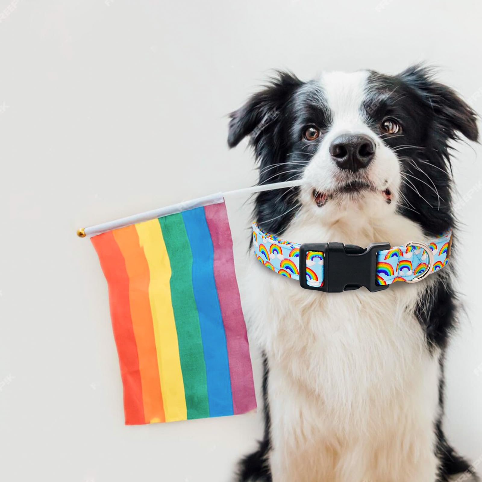 Tunkoo Pride Dog Collar Rainbow Cloud, Cute Adjustable Striped Collar With Strong Plastic Buckle - For Small Medium Large Pets,