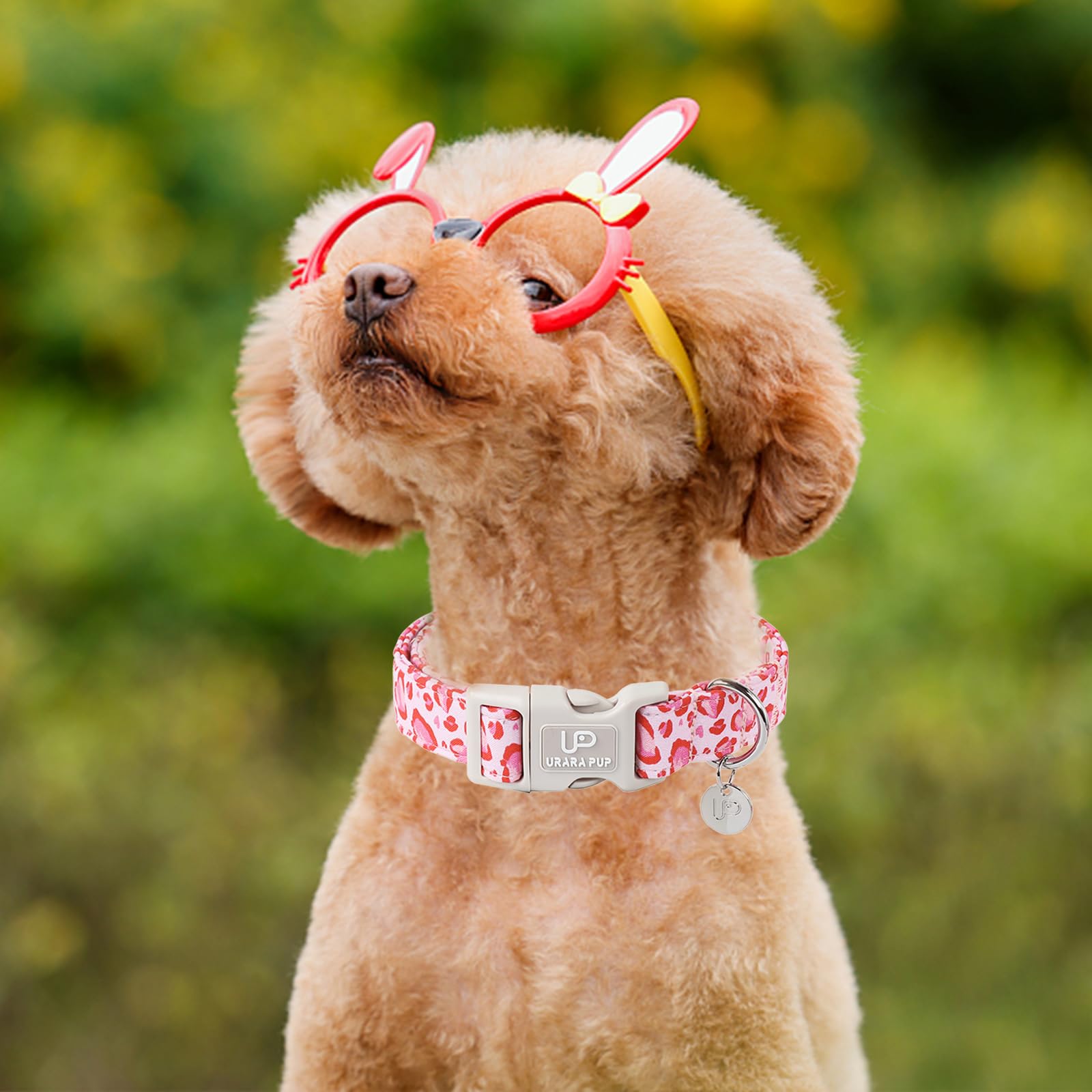 Up Urara Pup Pink Heart Dog Collar, Adjustable Size (15.35''-23.62''), Valentine'S Gift For Puppy Dogs, Wedding Collar