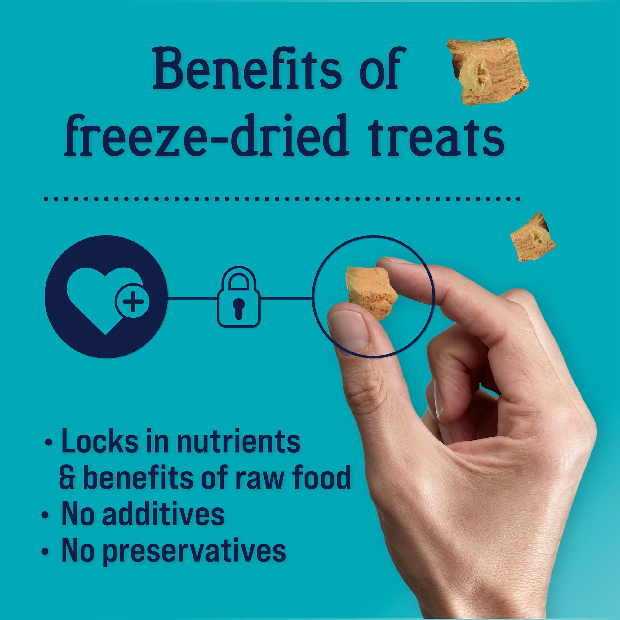Stewart Freeze Dried Wild Salmon Treats