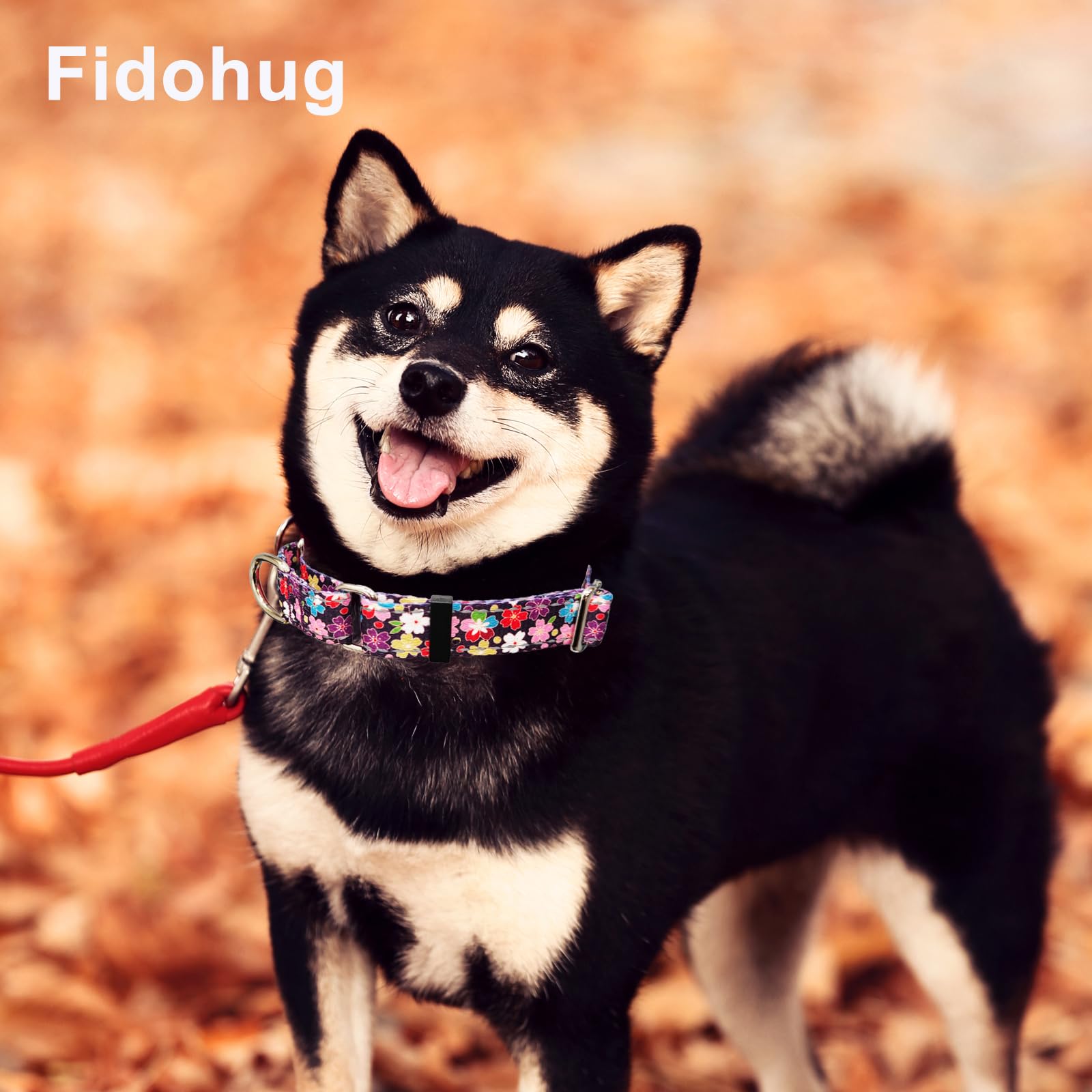 Fidohug Reflective Martingale Collar For Dogs With Buckle Pretty Fancy Female Floral Dog Collars (Japanese Blossoms, Medium)
