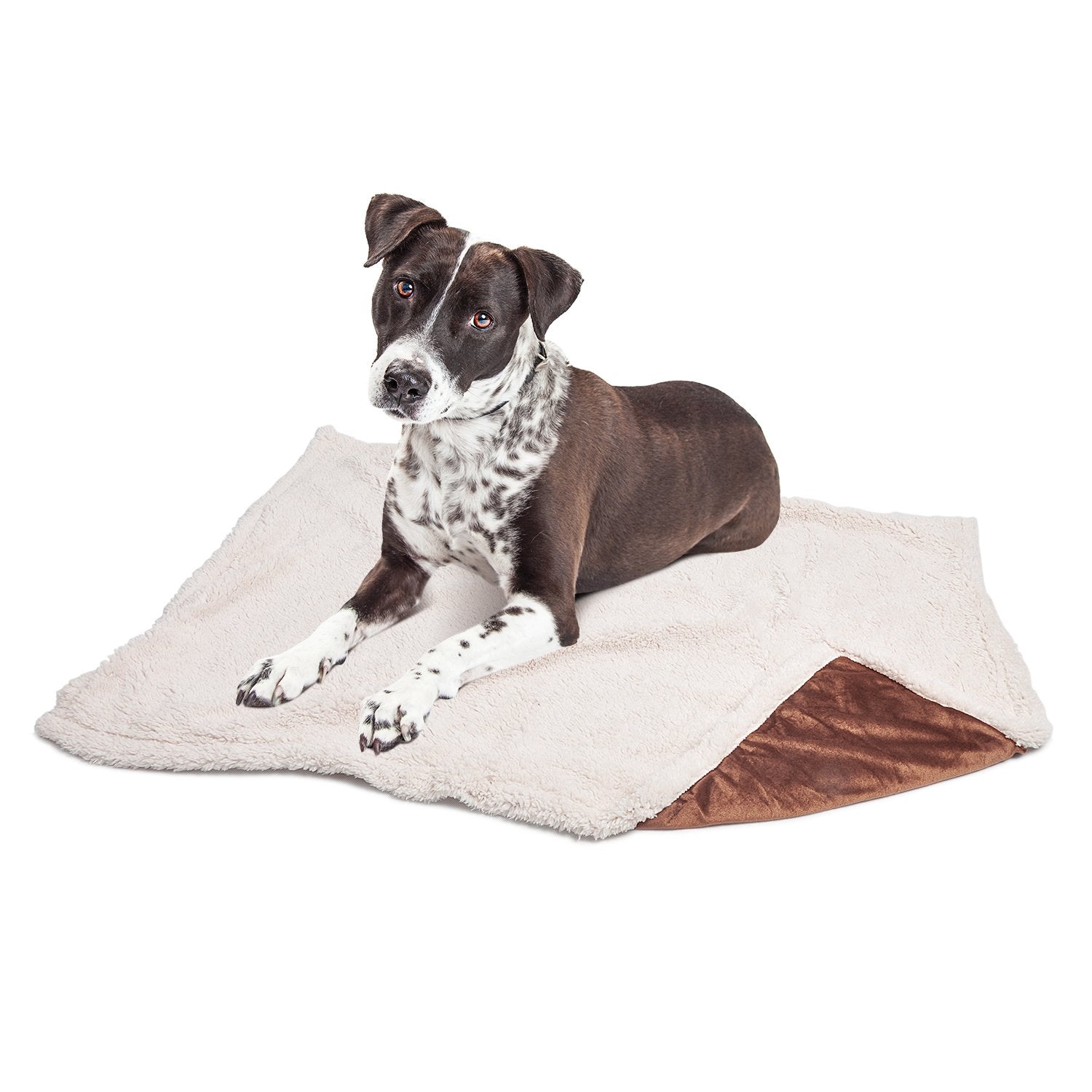 Puppy Blanket, Super Soft Sherpa Dog Blankets And Throws Cat Fleece Sleeping Mat For Pet Small Animals 45X30 Brown