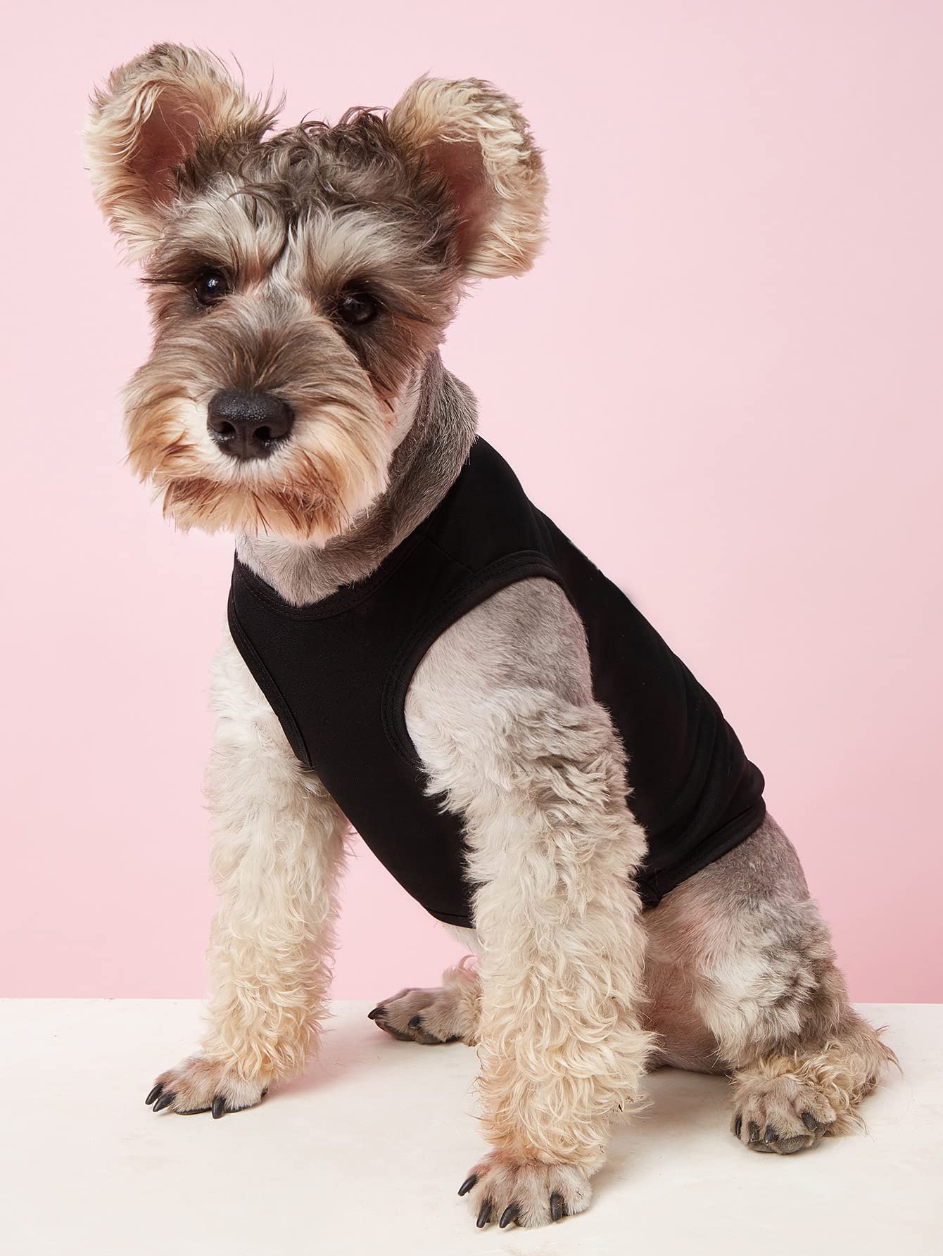 Puppy Dog Shirt Dog Summer Clothes Pet Dogs Shirts Xs Dog T Shirt Yorkie Clothes Chihuahua Clothes Boys, Small, Black