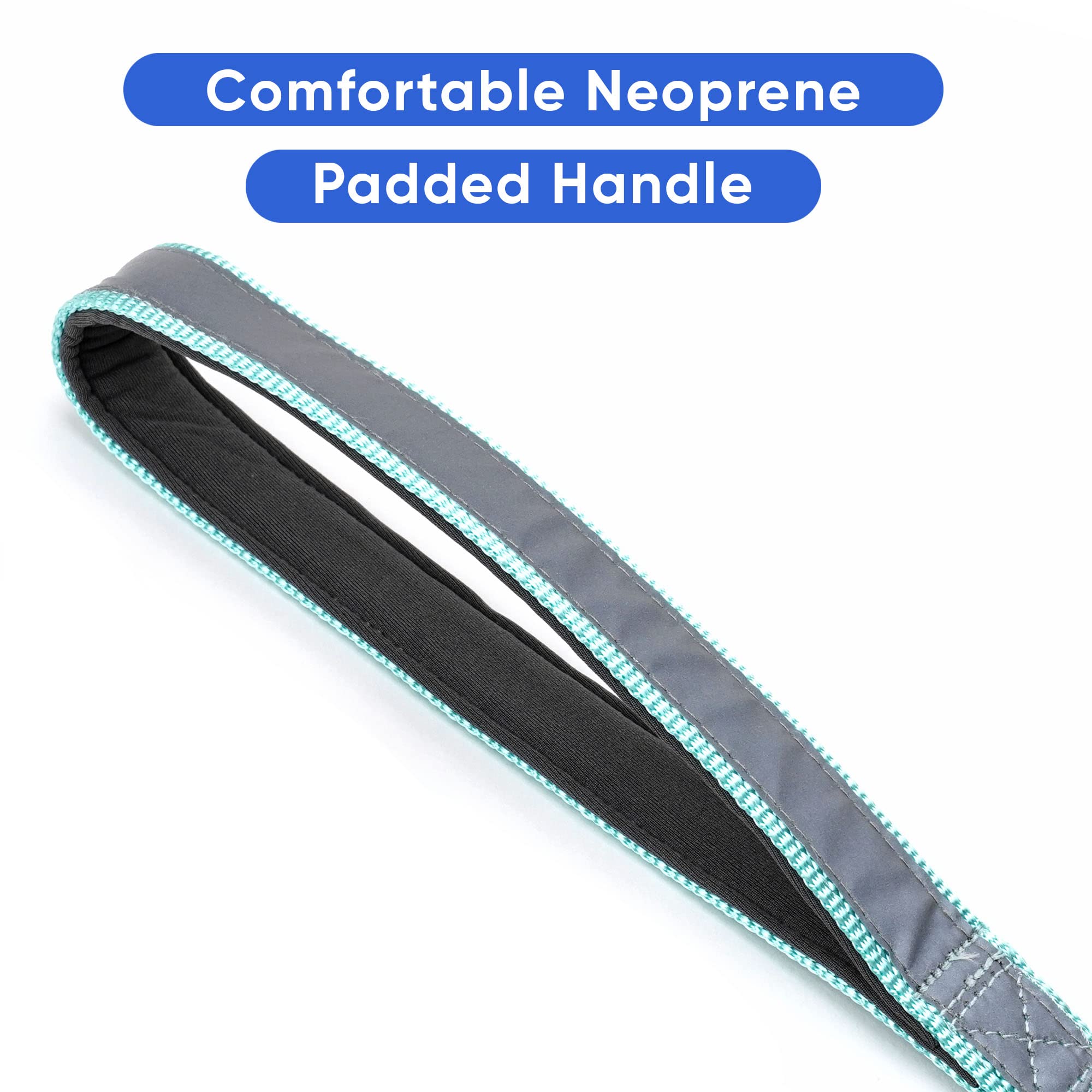 Pawtitas 6 FT Padded Dog Leash with Comfortable Neoprene Padding Handle - Teal Lead | Reflective Dog Leash with Highly Reflectiv
