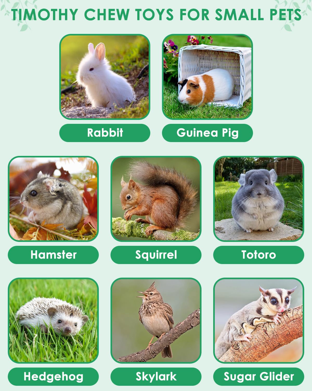 Erkoon 53Pcs Bunny Chew Toys, Rabbit Chew Toys For Teeth Grinding, Improve Dental Health, 100% Natural Apple Wood Timothy Grass