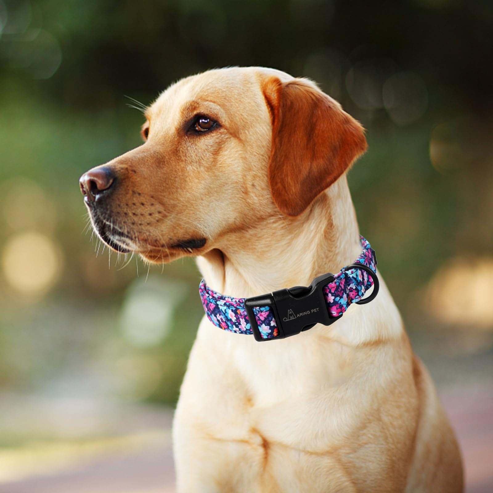 Aring Pet Summer Dog Collar-Cotton Lightweight Dog Collars, Adjustable Pet Collar Puppy Collars With Quick Release Buckle For Sm
