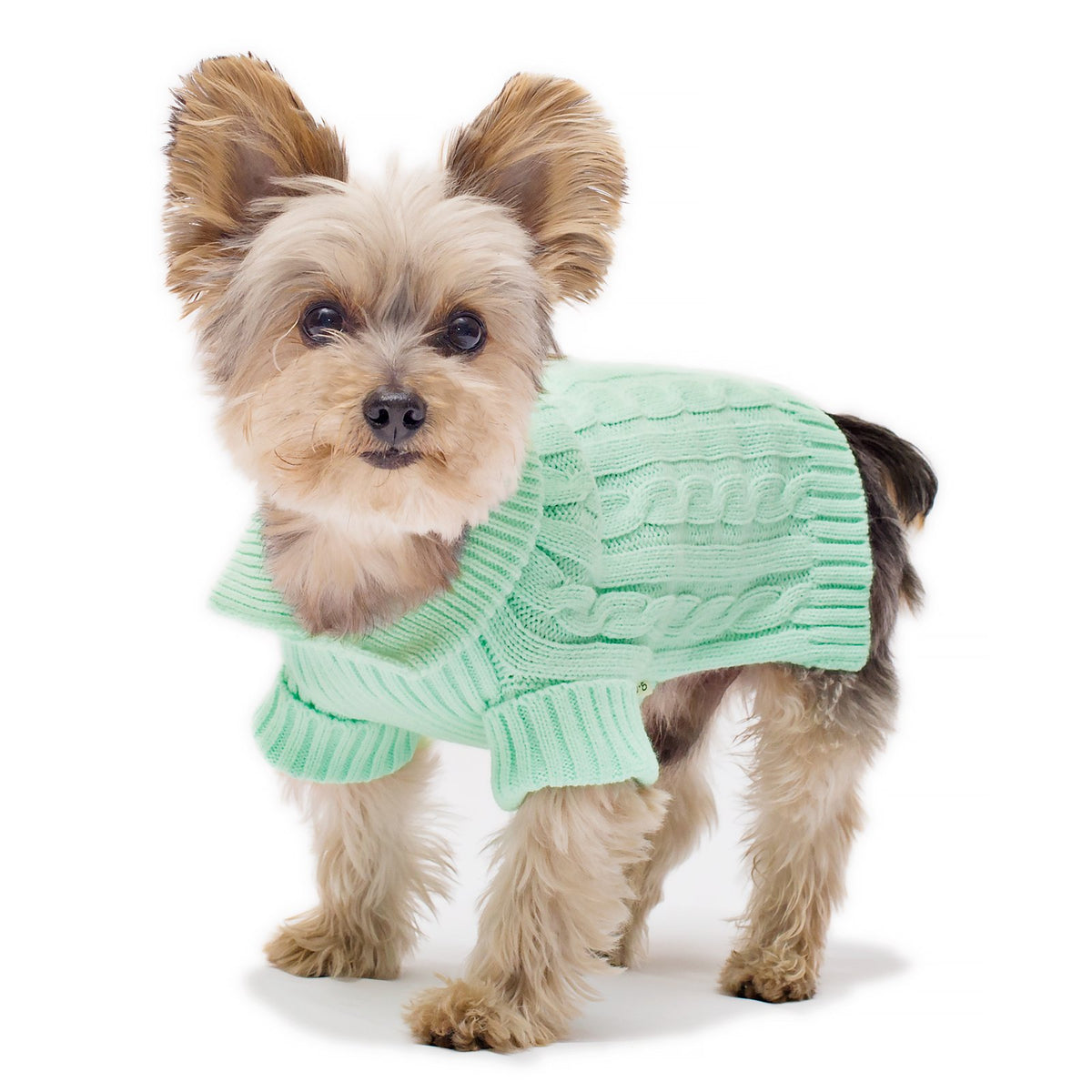 Stinky G Mint Aran Dog Sweater Size #08 Xs