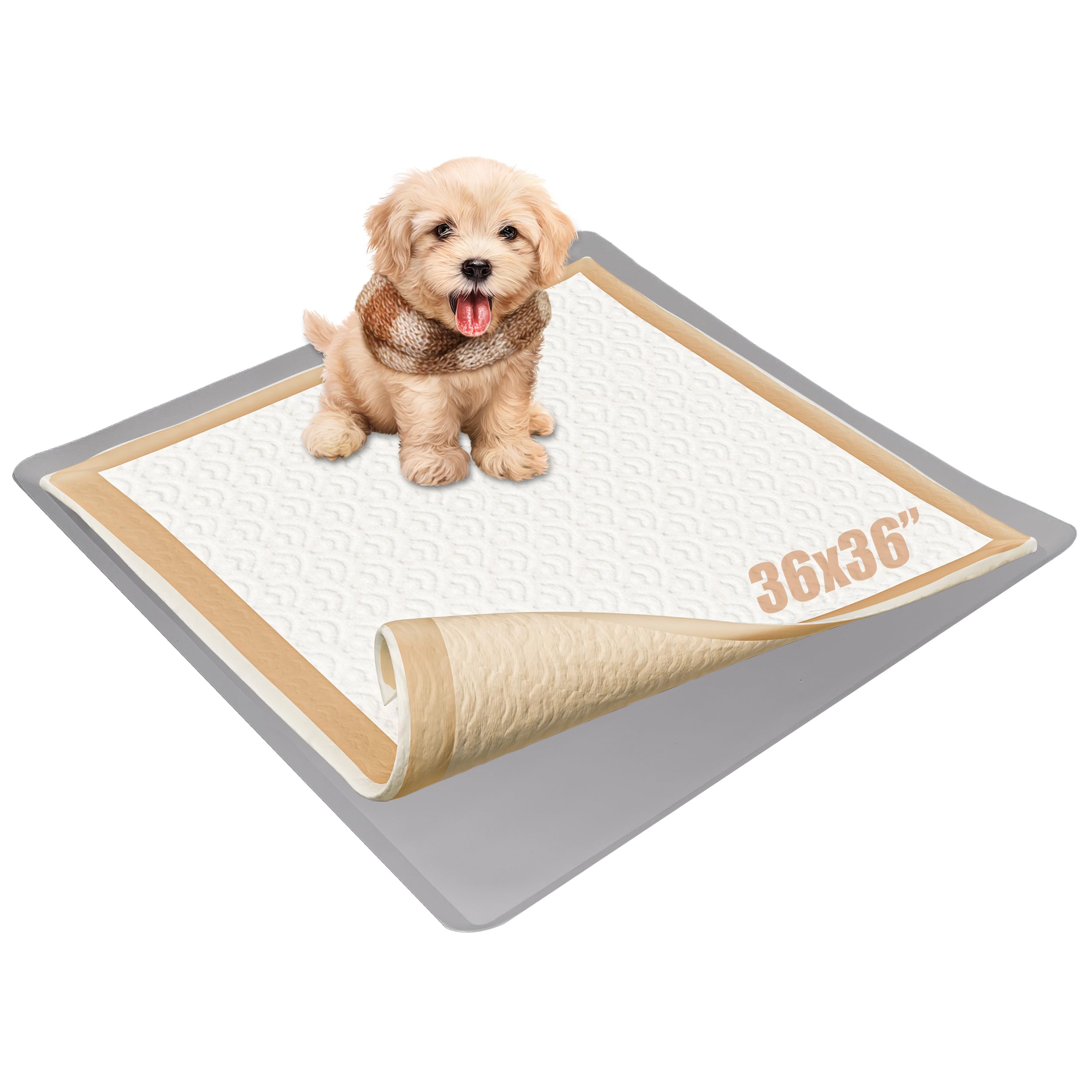 Tidyfriend Dog Pad Holder Tray For 36 X 36 Inches Training Pads - Silicon Wee Wee Holder, No Spill Pee Tray For Dogs - Easy To C