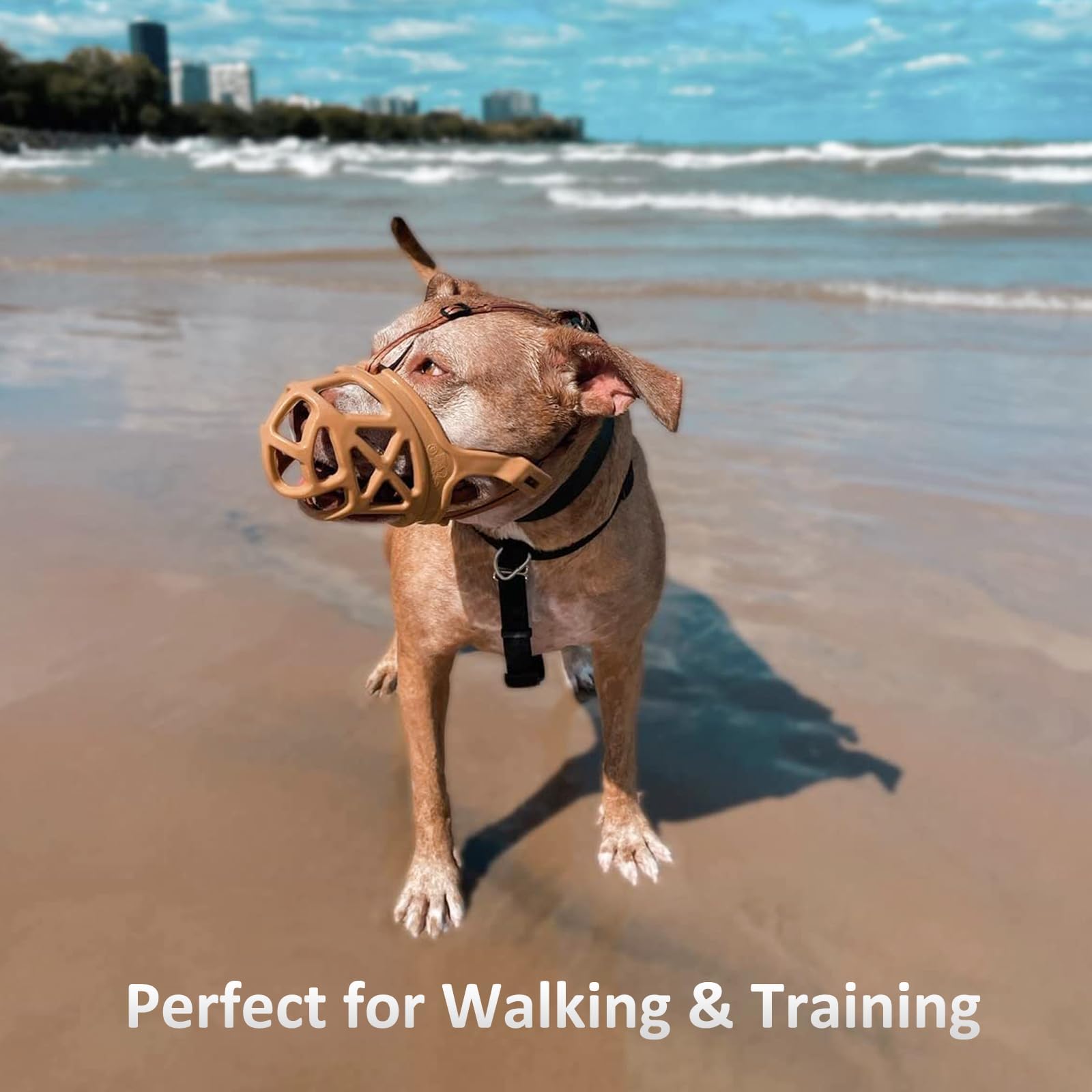 Barkless Dog Muzzle, Basket Muzzle For Biting, Chewing And Scavenging, Humane Cage Mouth Cover, Perfect For Grooming And Training Small, Medium, Large Aggressive Reactive Dogs