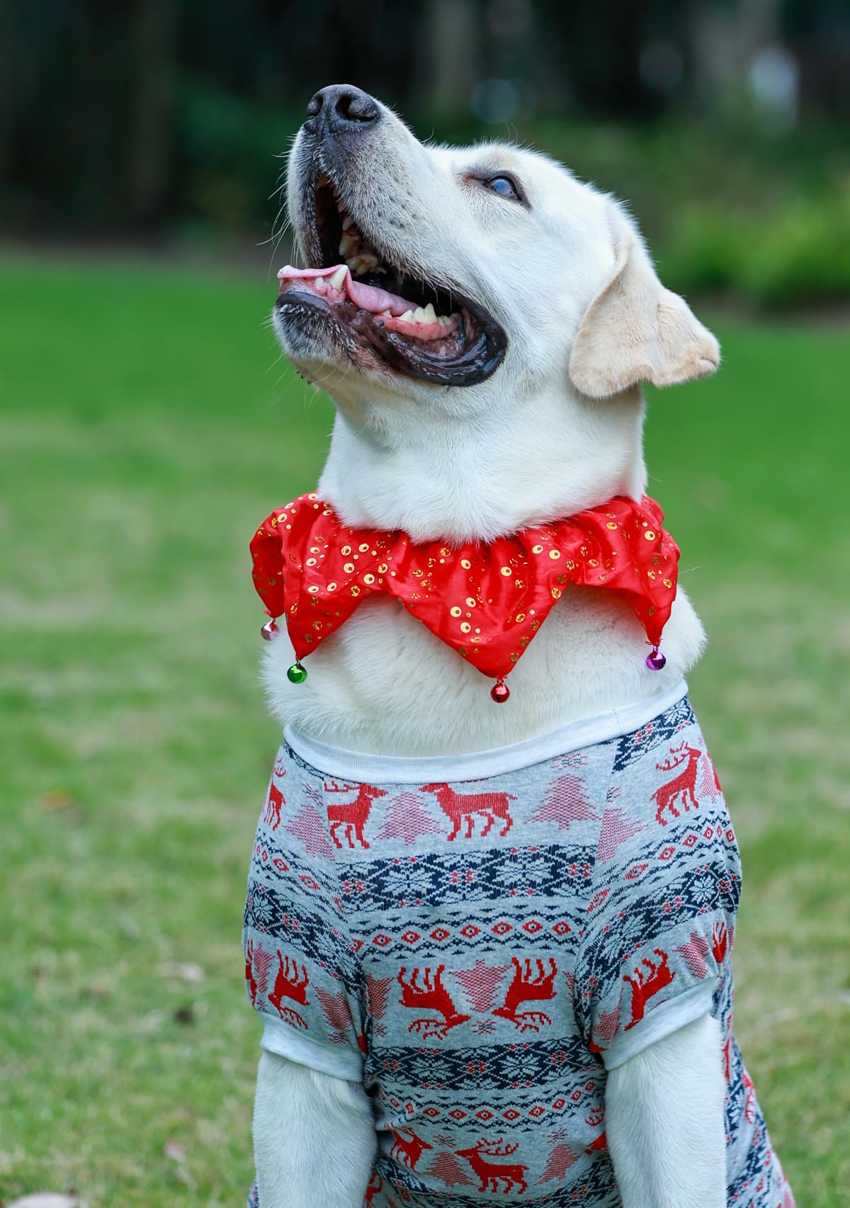 Bling Pet Dog Christmas Collar, Jingle Bell Dog Collar Christmas, Pet Holiday Accessories Xms Dog Bandana For Girl Boy With Six Bells, Large Red