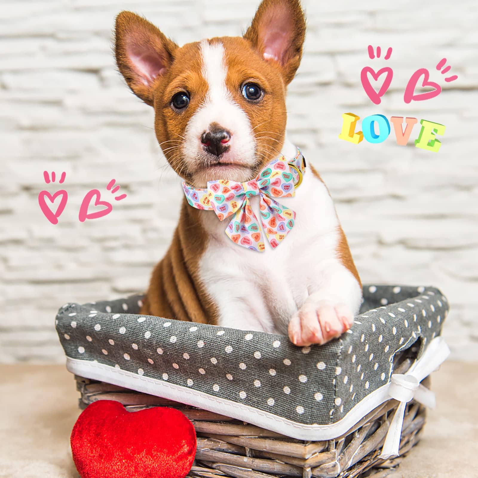 ARING PET Valentine's Day Dog Collar-Cute Heart Dog Collar with Sailor Bowtie, Adjustable Cotton Girl Dog Collar with Metal Buck