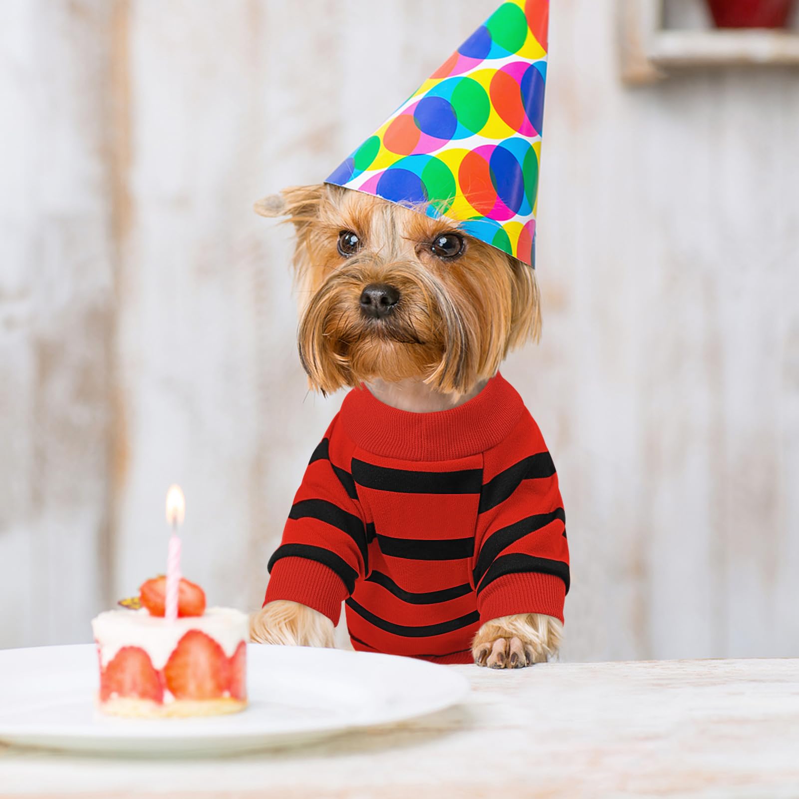 Queenmore Small Dog Shirt,Soft Breathable Dog Shirt For Dogs Cats Boy Girl,Pet Clothes For All Season,Breathable Lightweight Pet