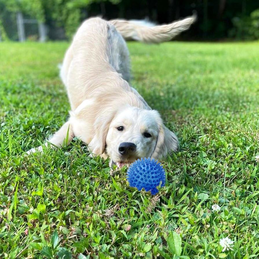 Cutie'S Petbox Squeaky Rubber Spike Toy Ball For Small Dogs (2.5 Inch, Blue)