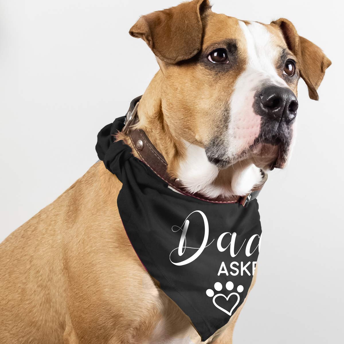 Yangmics Direct Dad Asked Mom Said Yes Dog Black Bandana Pet Wedding Triangle Bibs Engagement Announcement Gifts for Small Mediu