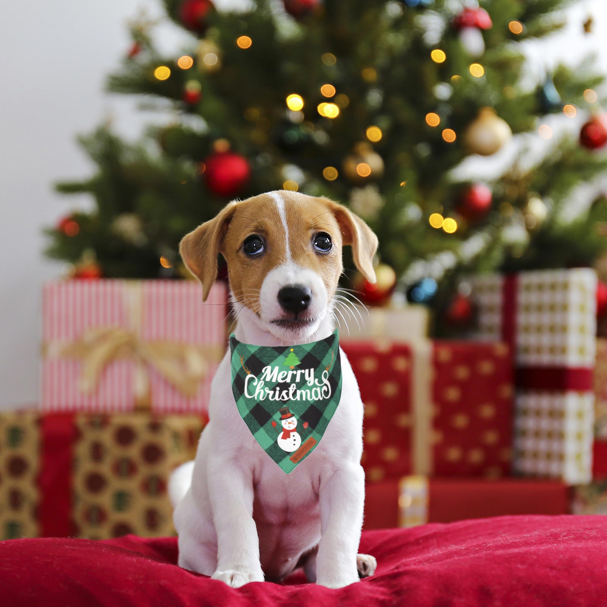 Adoggygo 2 Pack Dog Bandana Christmas Classic Plaid Pet Scarf Triangle Bibs Kerchief Merry Christmas Santa Snowman Print Pet Bandana For Small Dogs Cats Pets (Christmas-1, Small)